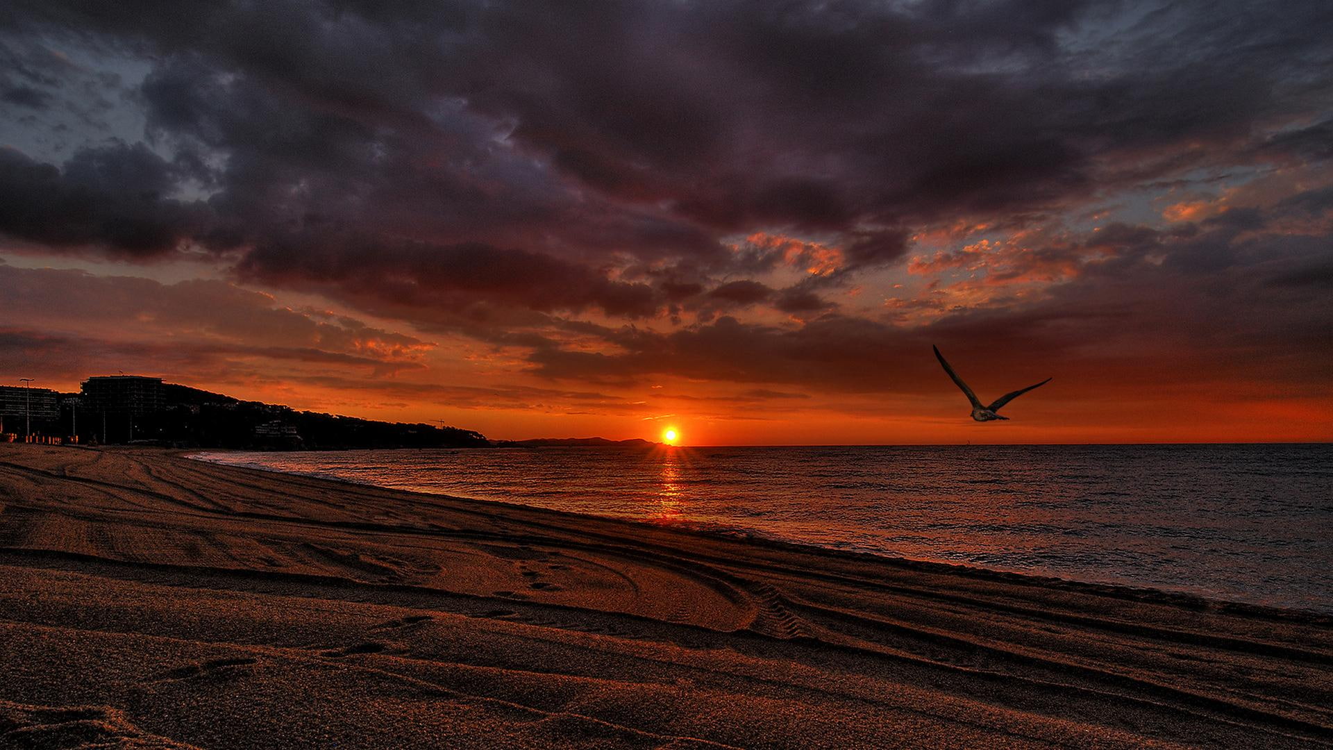 1080P, sunset, beach, beautiful, intoxicating, 3d and abstract, HD Wallpaper