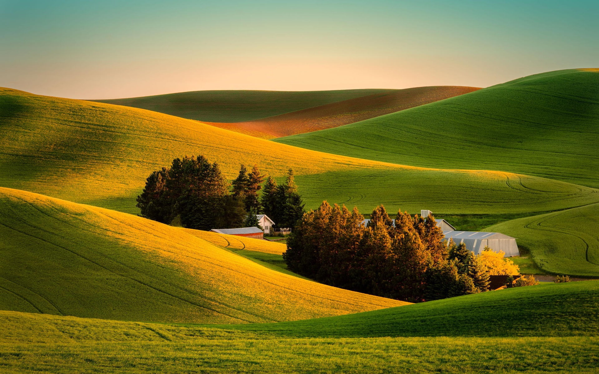 Fields, 1080P, Farm, House, Nature, Sunset, HD Wallpaper