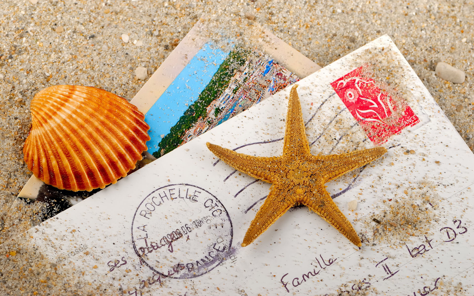 brown, sea, nature, seashell, starfish, 1080P, star Shape, outdoors, tourism, close-up, copy Space, concepts, animals in the wild, relaxation, letter, HD Wallpaper