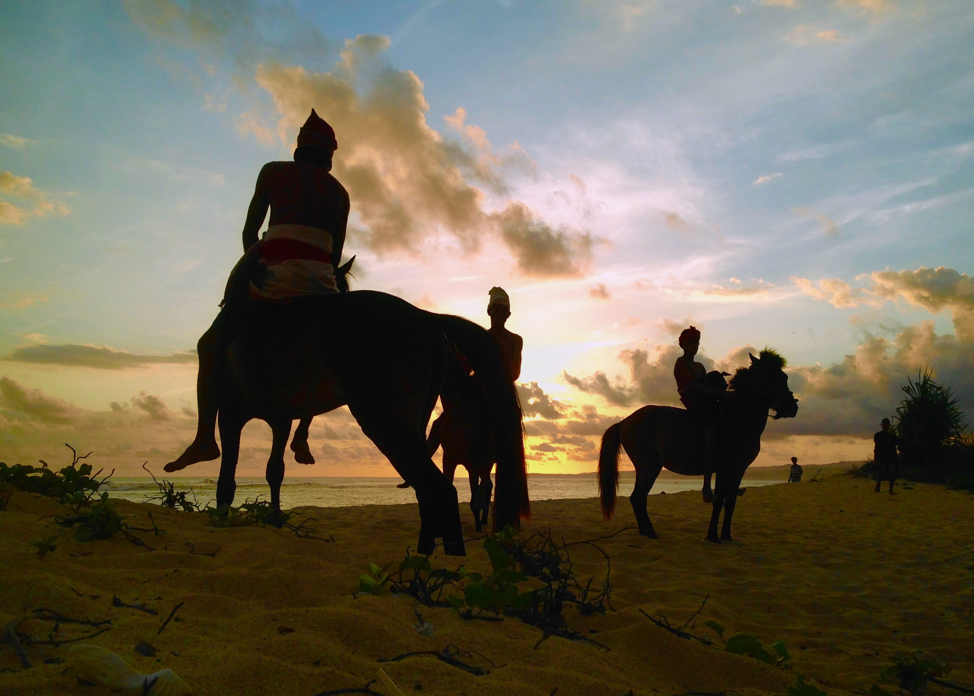 men, domestic animals, real people, pets, lifestyles, indonesia, domestic, leisure activity, land, group of people, 2K, horseback riding, riding, livestock, HD Wallpaper