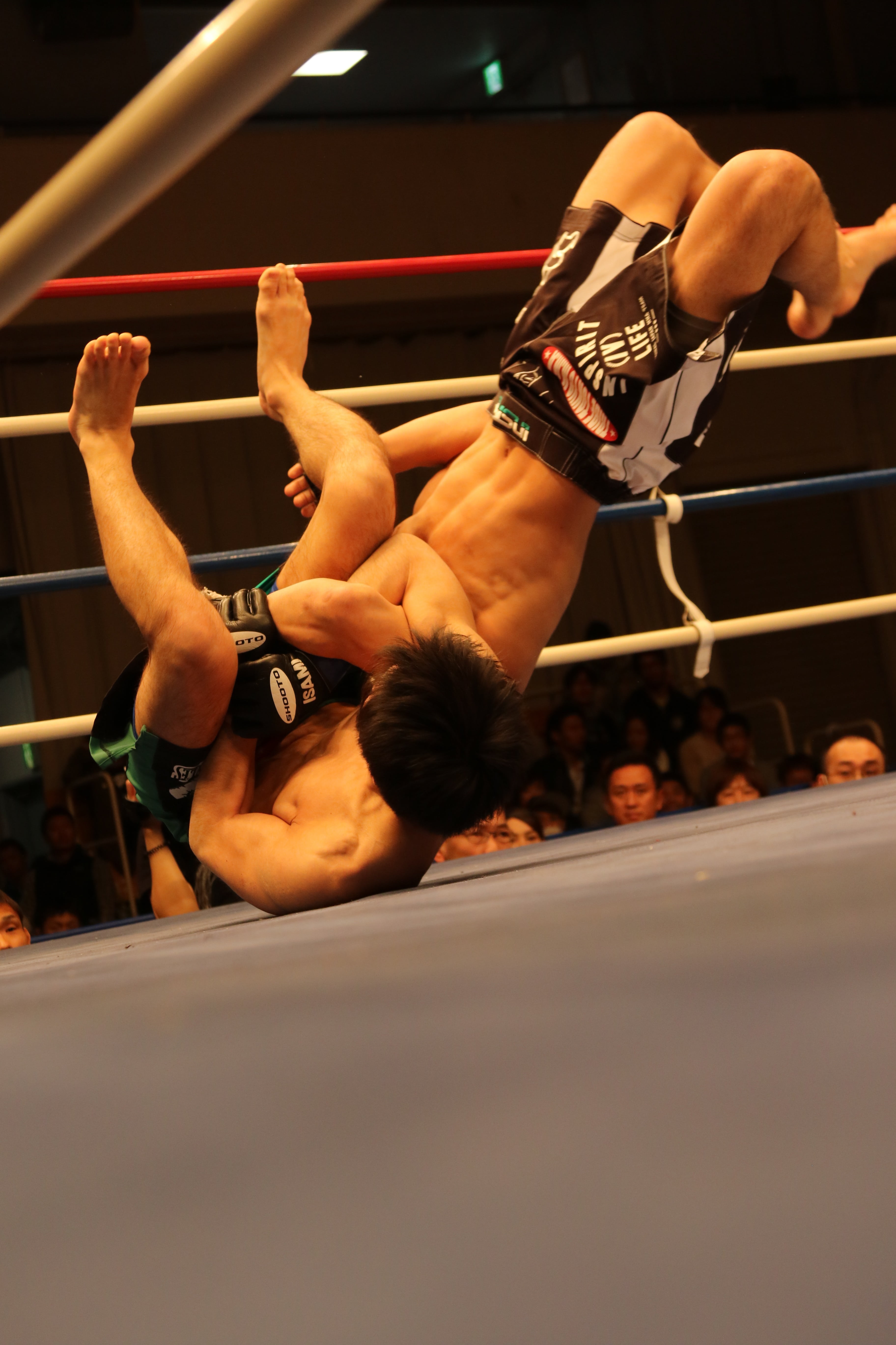 sports Training, males, arena, group of people, wrestlers, maza fight, leisure activity, athlete, mma, vitality, adult, incidental people, people, real people, Phone HD Wallpaper