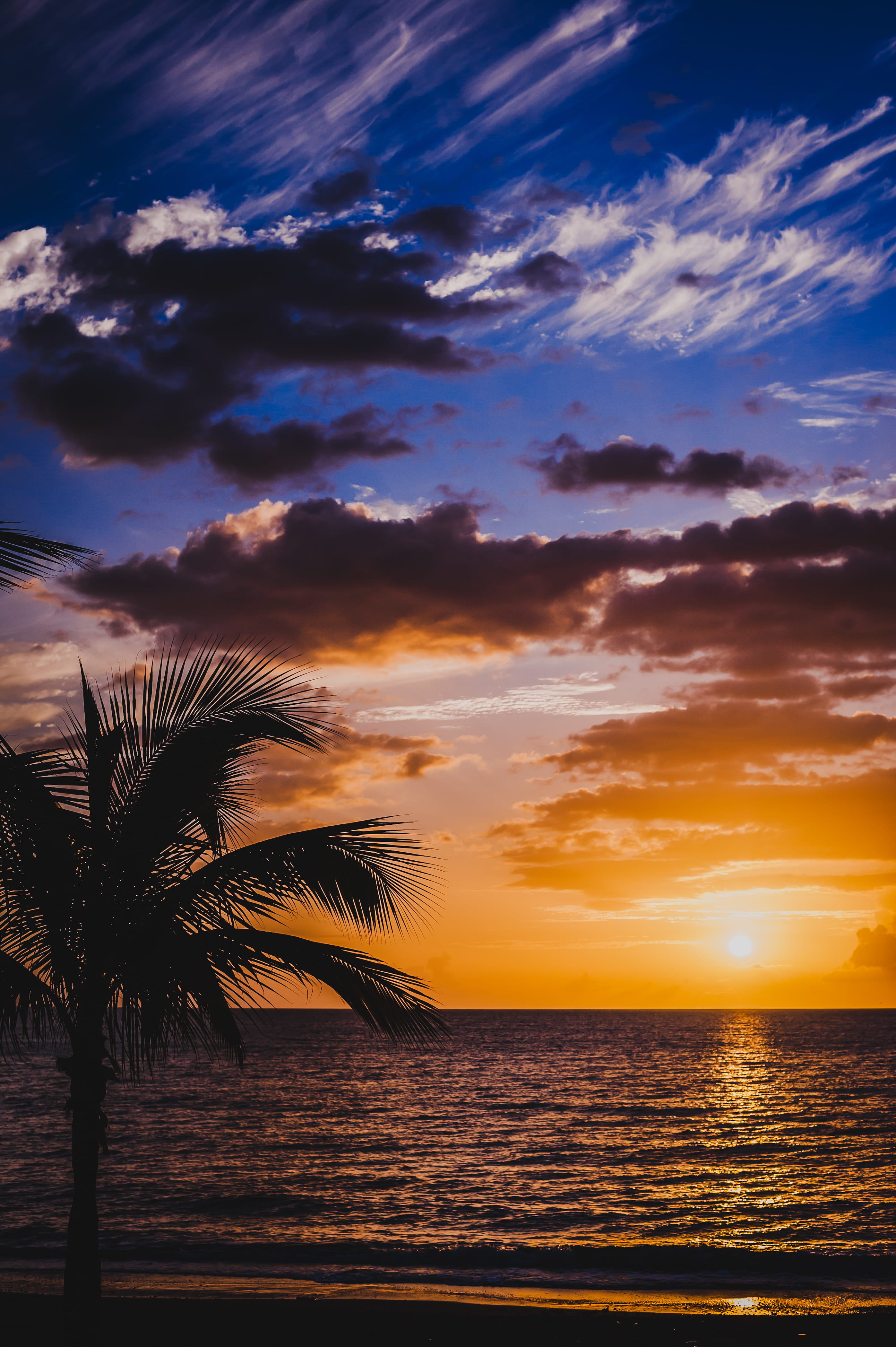 sunlight, palm tree, scenics - nature, 4K, sunrise, cloud - sky, dusk, beauty in nature, red sky, sea, tropical climate, tranquility, plant, water, tropical, Phone HD Wallpaper
