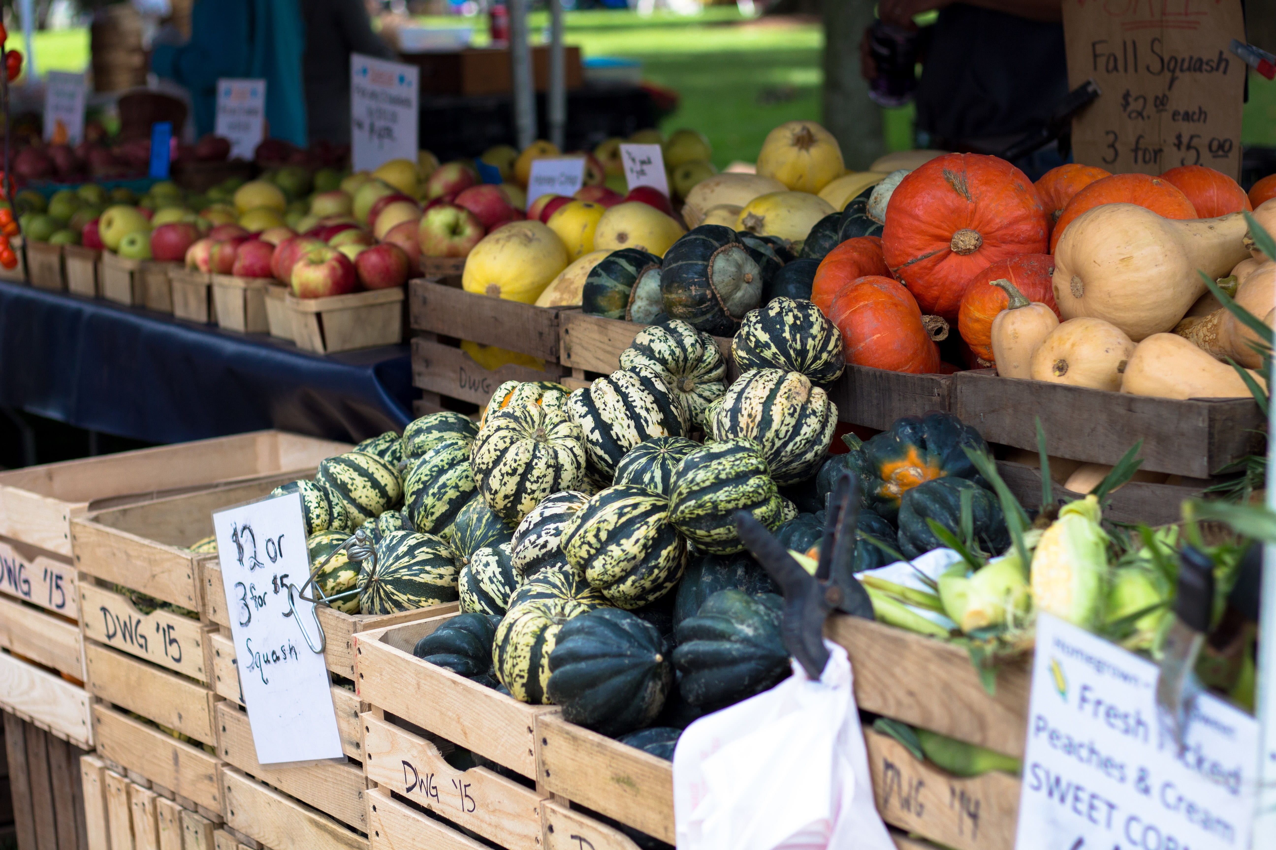 outdoors, eating, natural, organic, for sale, stall, no people, business, market stall, crats, pumpkin, assorted, box, street, cucurbita, ripe, wellbeing, HD Wallpaper