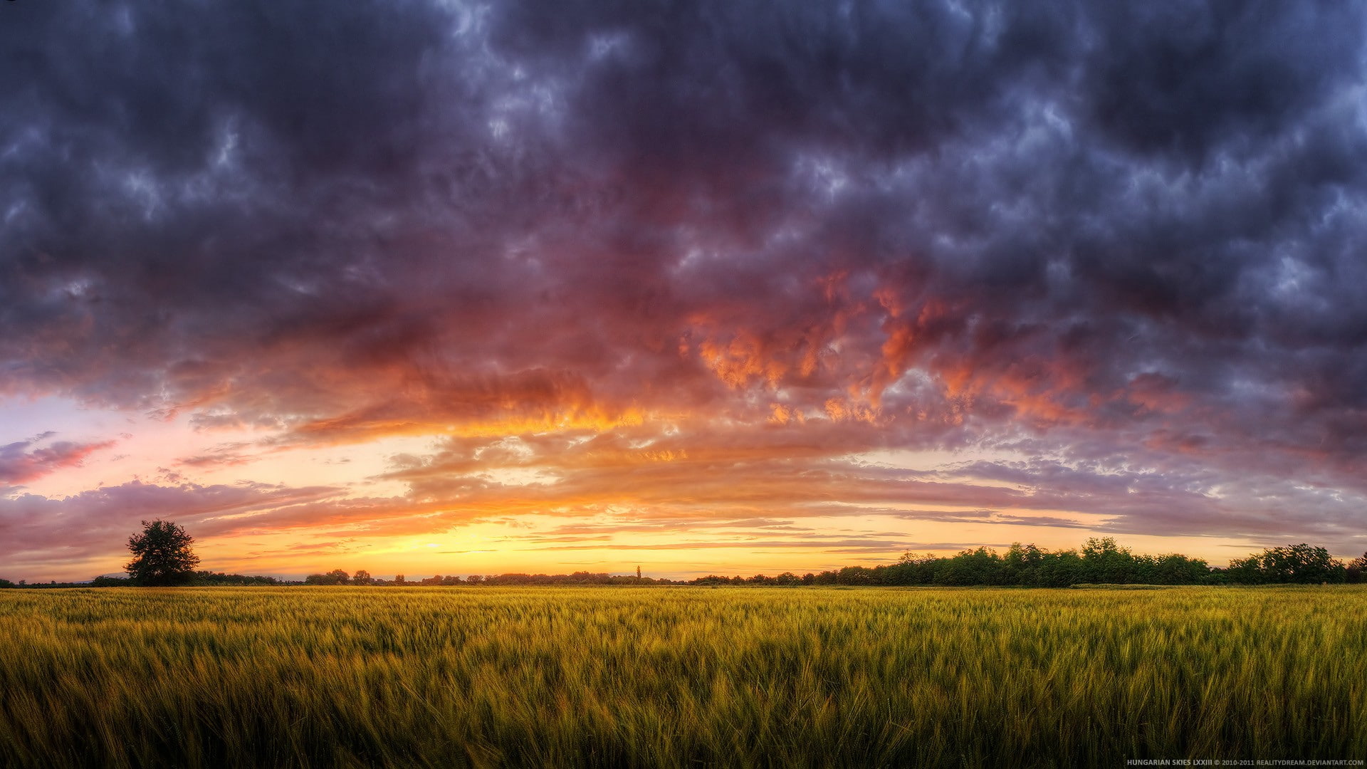 1080P, nature, trees, colorful, art, deviantart, skyscapes, grass, wallpape, sunsets, fields, hd, x, Clouds, hungary, HD Wallpaper