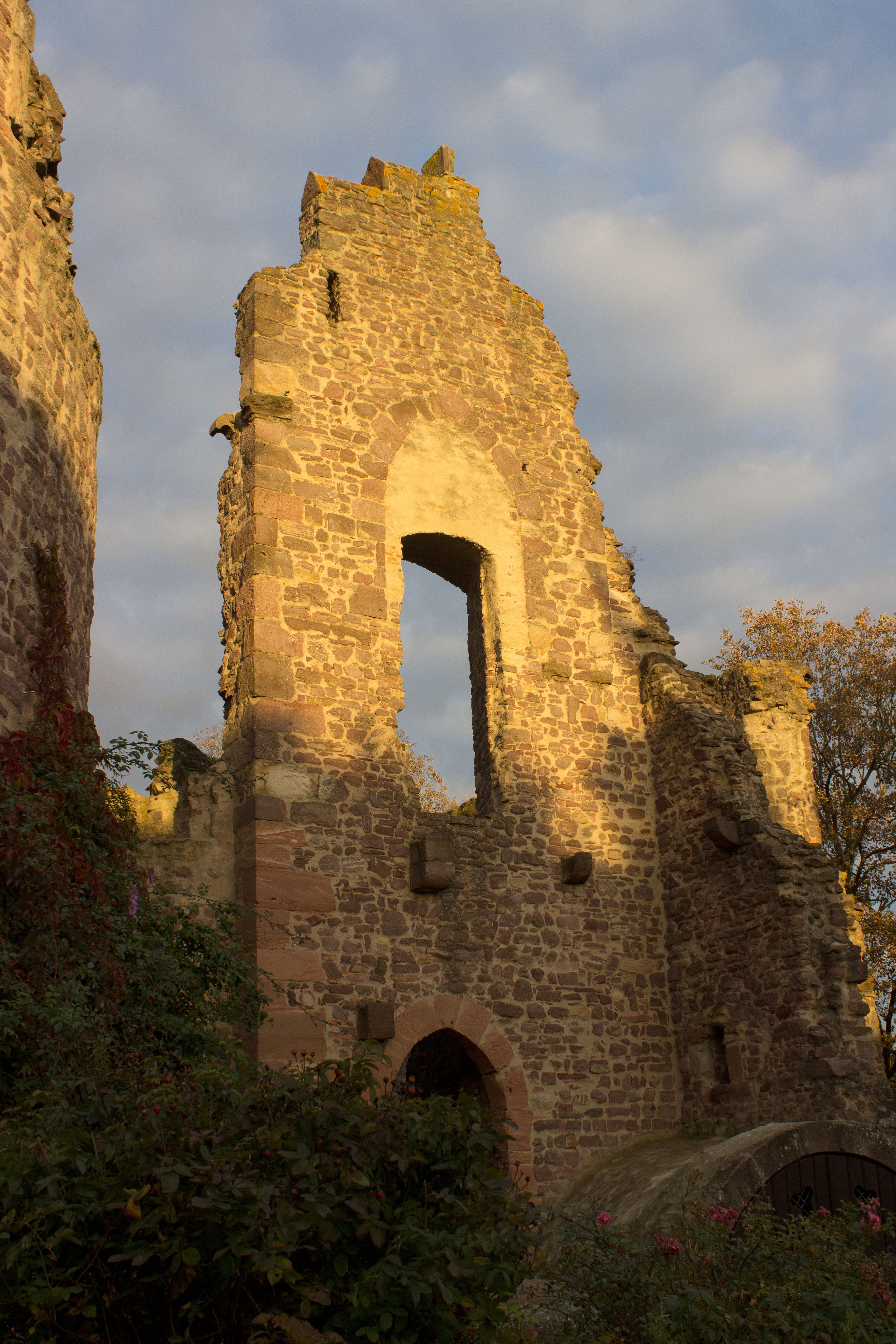 ruined, architecture, Castle, nature, historically, building exterior, dreieich, no people, hayner castle, three oak grove, old ruin, built structure, building, Phone HD Wallpaper