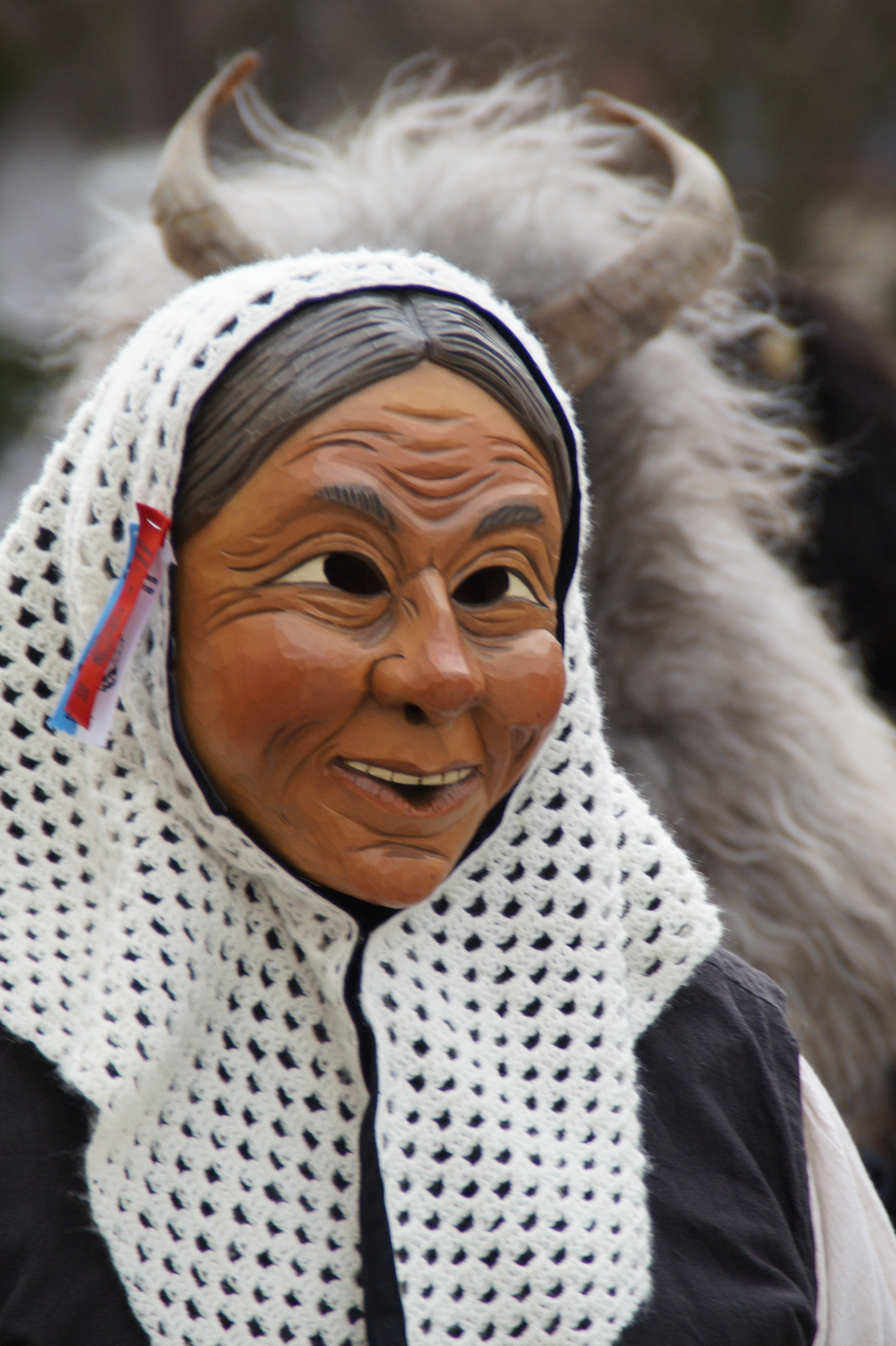fools guild, custom, haes, liz, carnival parade, females, one person, fasnet, warm clothing, old woman, masquerade, baden württemberg, glasses, front view, Phone HD Wallpaper