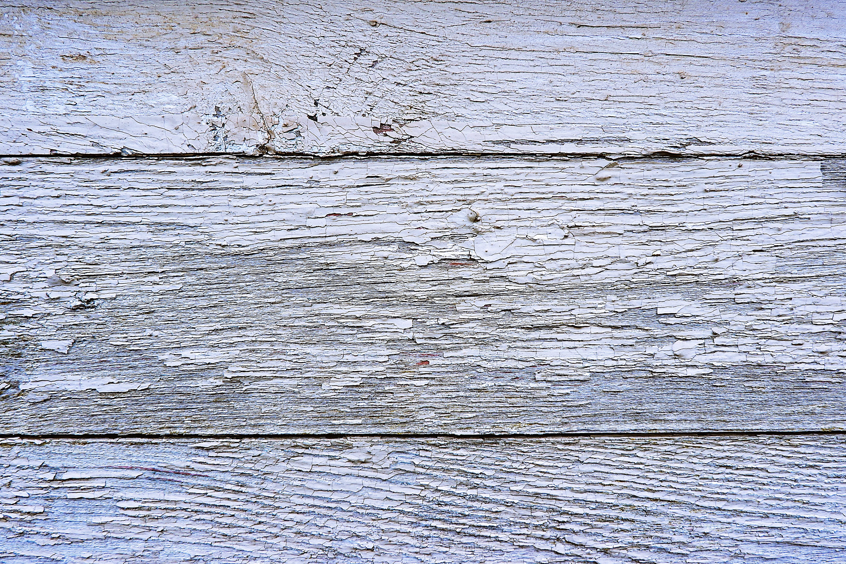 wood, animal, wood grain, 2K, dirty, close, wooden, outdoors, white color, nature, rough, textured, waterfowl, close-up, full frame, photography, fishing, HD Wallpaper