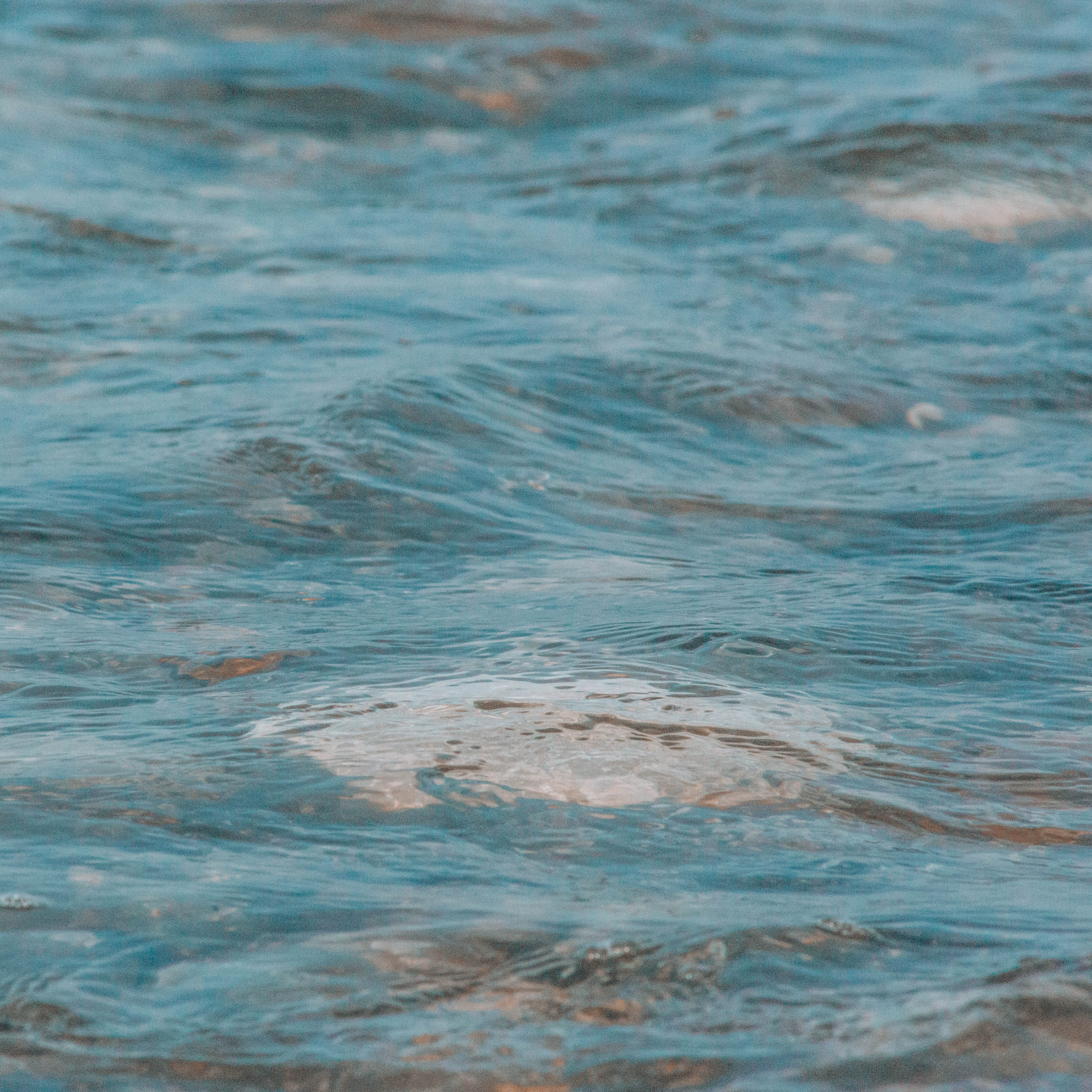 no people, rock, cormorant, beak, purity, wave, tranquility, bird, blue, surface, outdoors, sea life, 4K, egret, heron, normandy, animal, motion, water surface, Phone HD Wallpaper