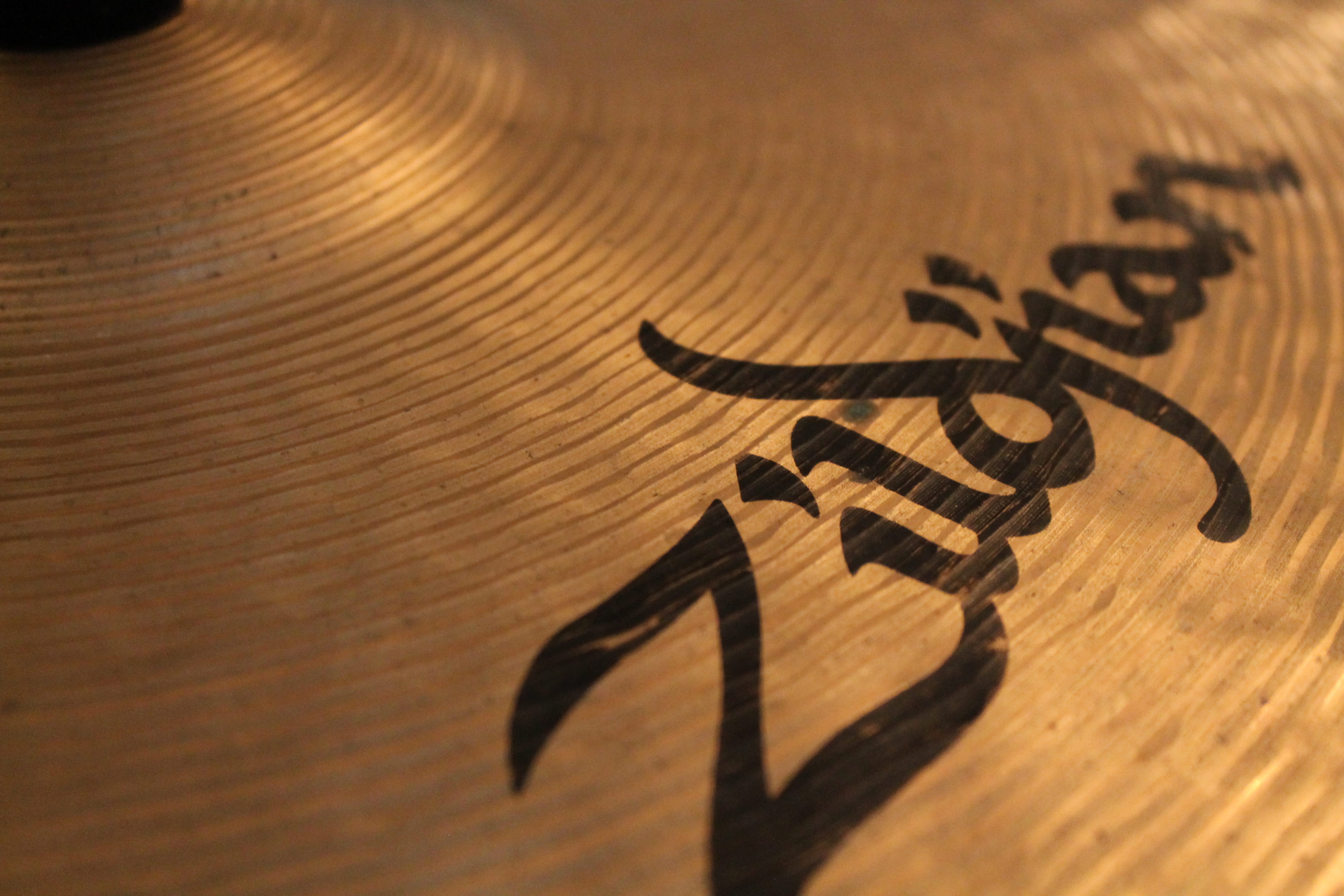 wood grain, animal, studio shot, antique, shadow, hand, close-up, percussion, human representation, single object, art and craft, ardeidae, label, drum, HD Wallpaper