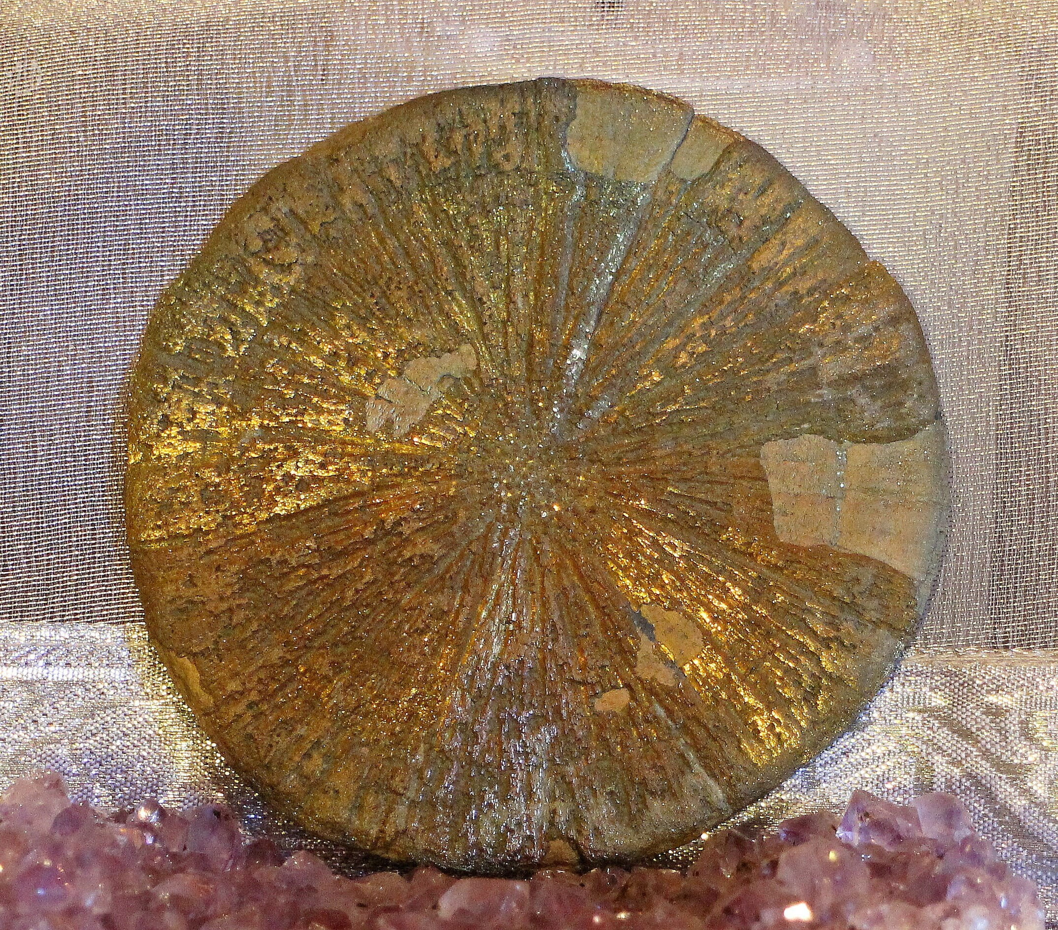 circle, studio shot, textured, fools gold, pyrite, gem, jewellery, marine, directly above, pyrites, stone, geology, about, brown, indoors, pattern, nature, HD Wallpaper