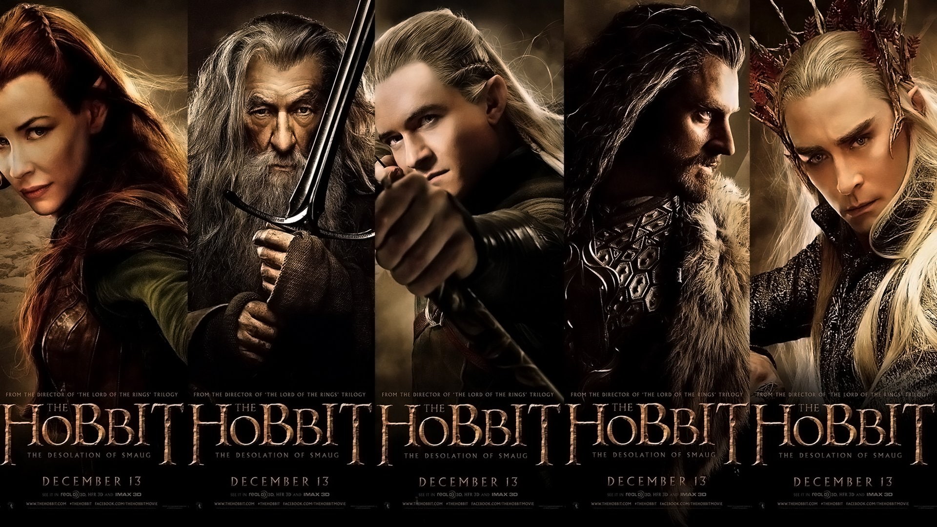 lotr, hobbit, 1080P, fantasy, smaug, adventure, rings, lord, desolation, HD Wallpaper