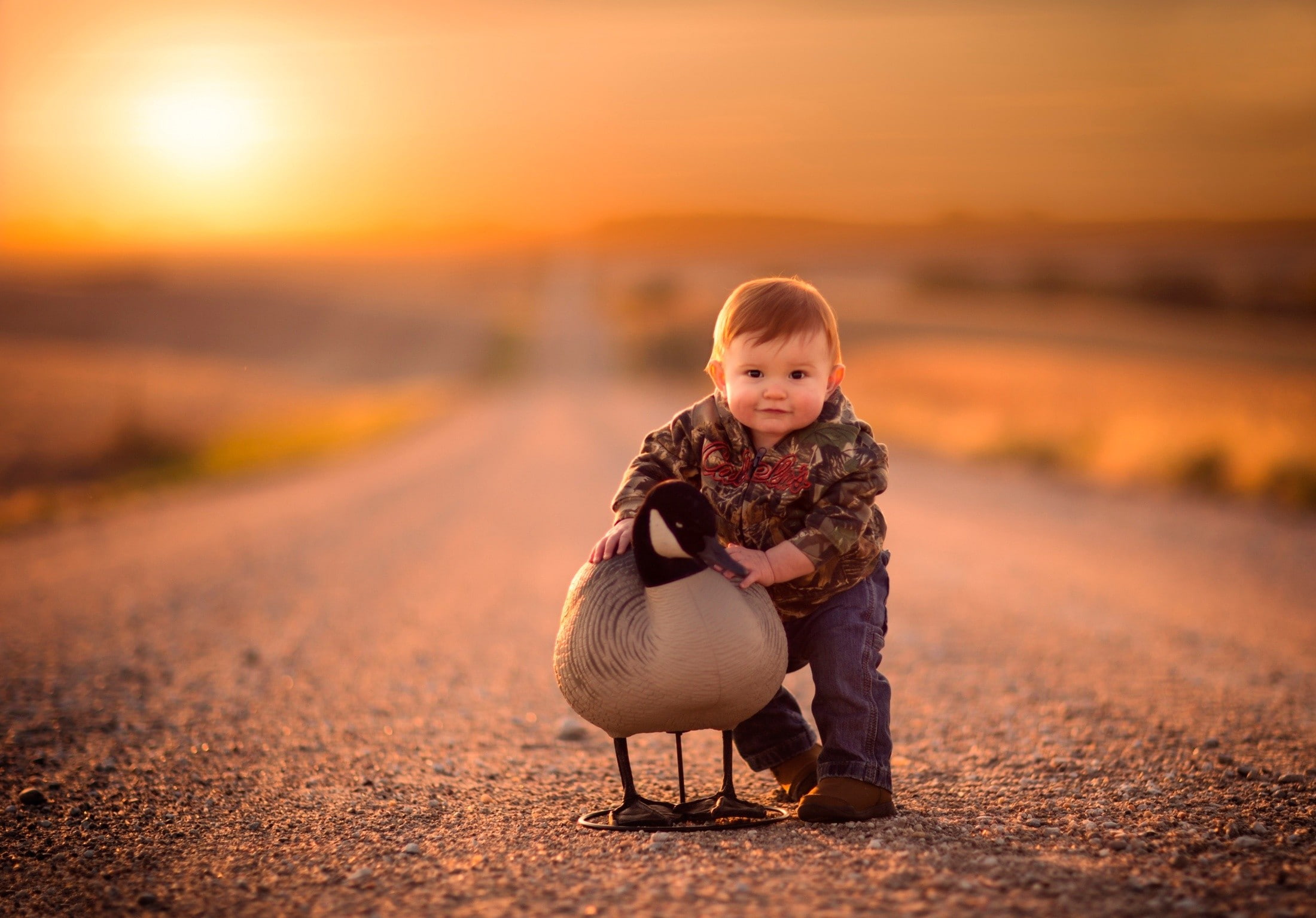 nature, children, depth of field, birds, road, 1080P, Jake Olson, geese, HD Wallpaper