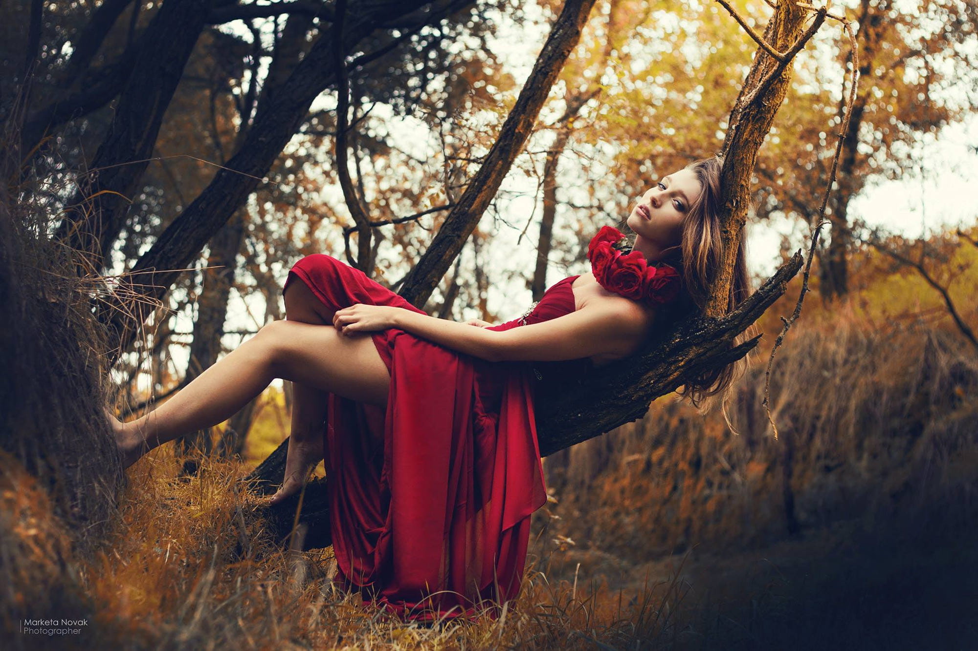 hairstyle, real people, forest, legs, red, one person, fashion, trees, lifestyles, innocence, outdoors, child, females, model, childhood, women, land, red dress, HD Wallpaper