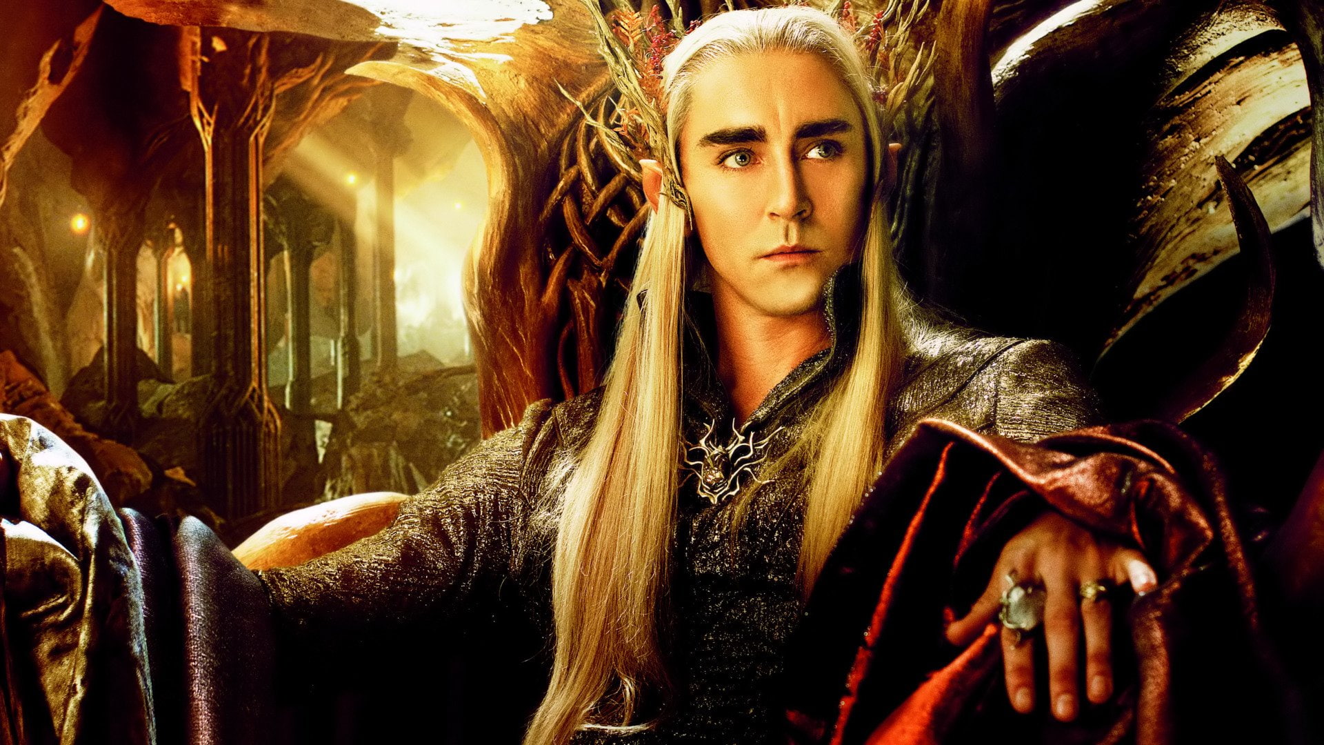 The Hobbit: The Desolation of Smaug, Movie, 1080P, HD Wallpaper