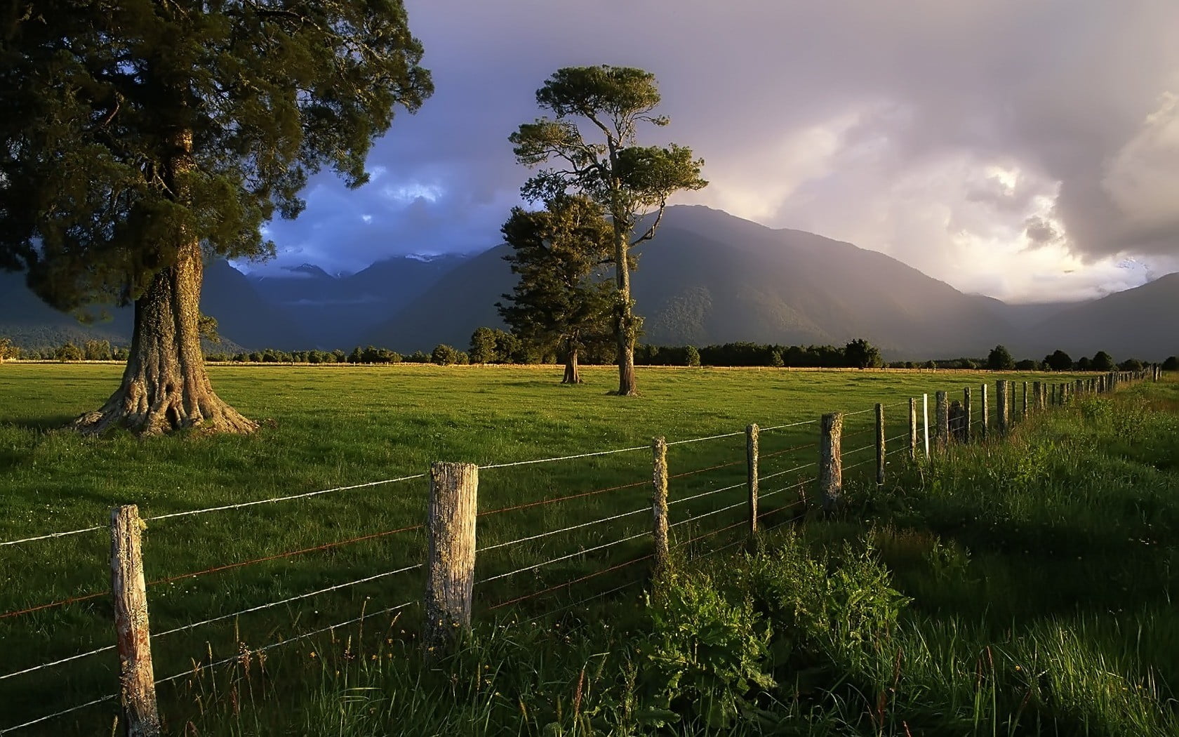 plant, sky, tree, fence, trees, green color, scenics - nature, boundary, barrier, 720P, beauty in nature, green, field, New Zealand, mountains, tranquil scene, HD Wallpaper