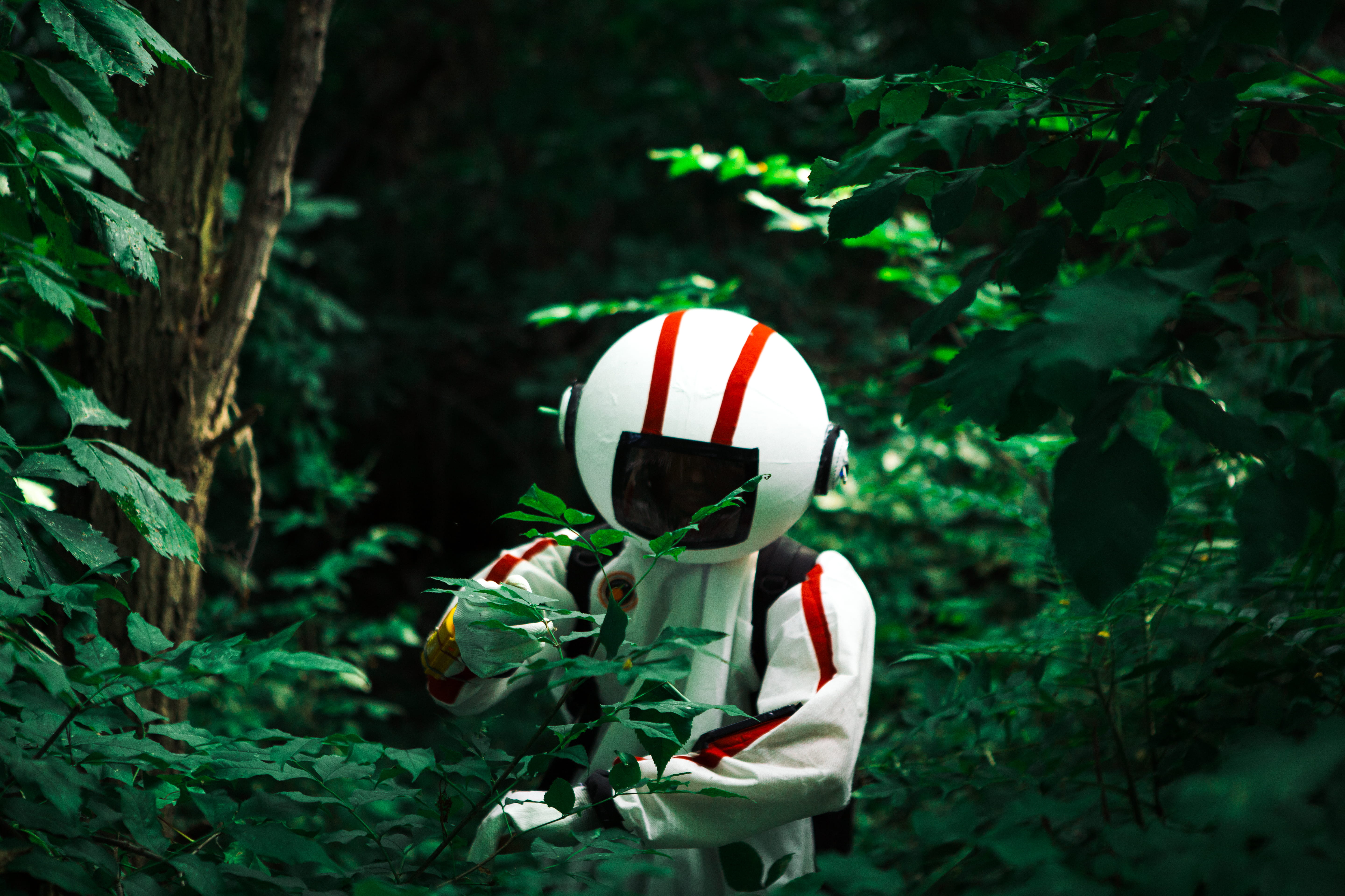 dark, nuns island, rear view, growth, leisure activity, trees, day, 5K, forest, outdoors, real people, plant, spaceman, obscured face, alone, green color, HD Wallpaper