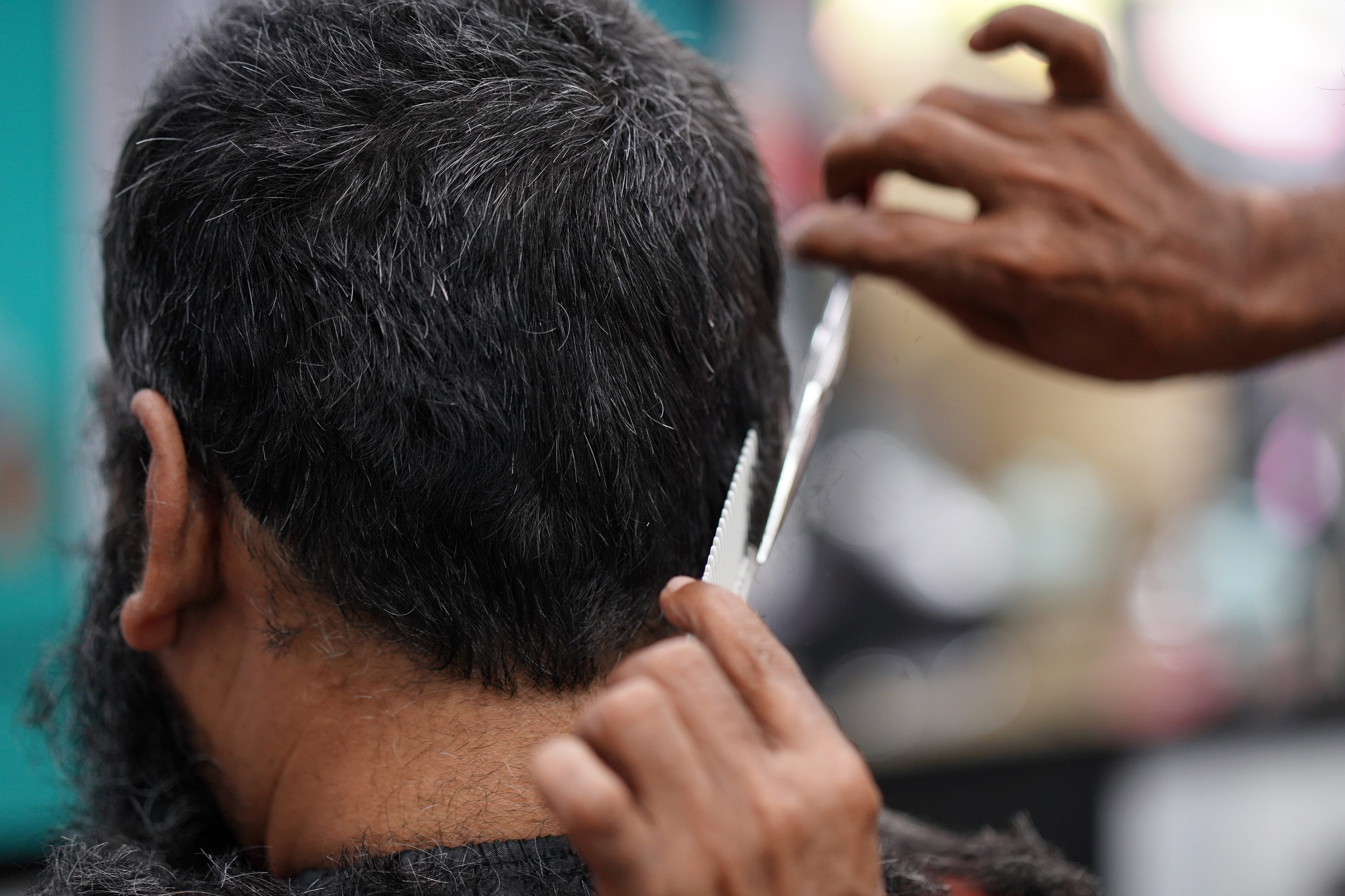 human head, occupation, human hand, elegance, cutting, human body part, scissors, hairdresser, rear view, skill, hair, only men, customer, beauty spa, design, HD Wallpaper