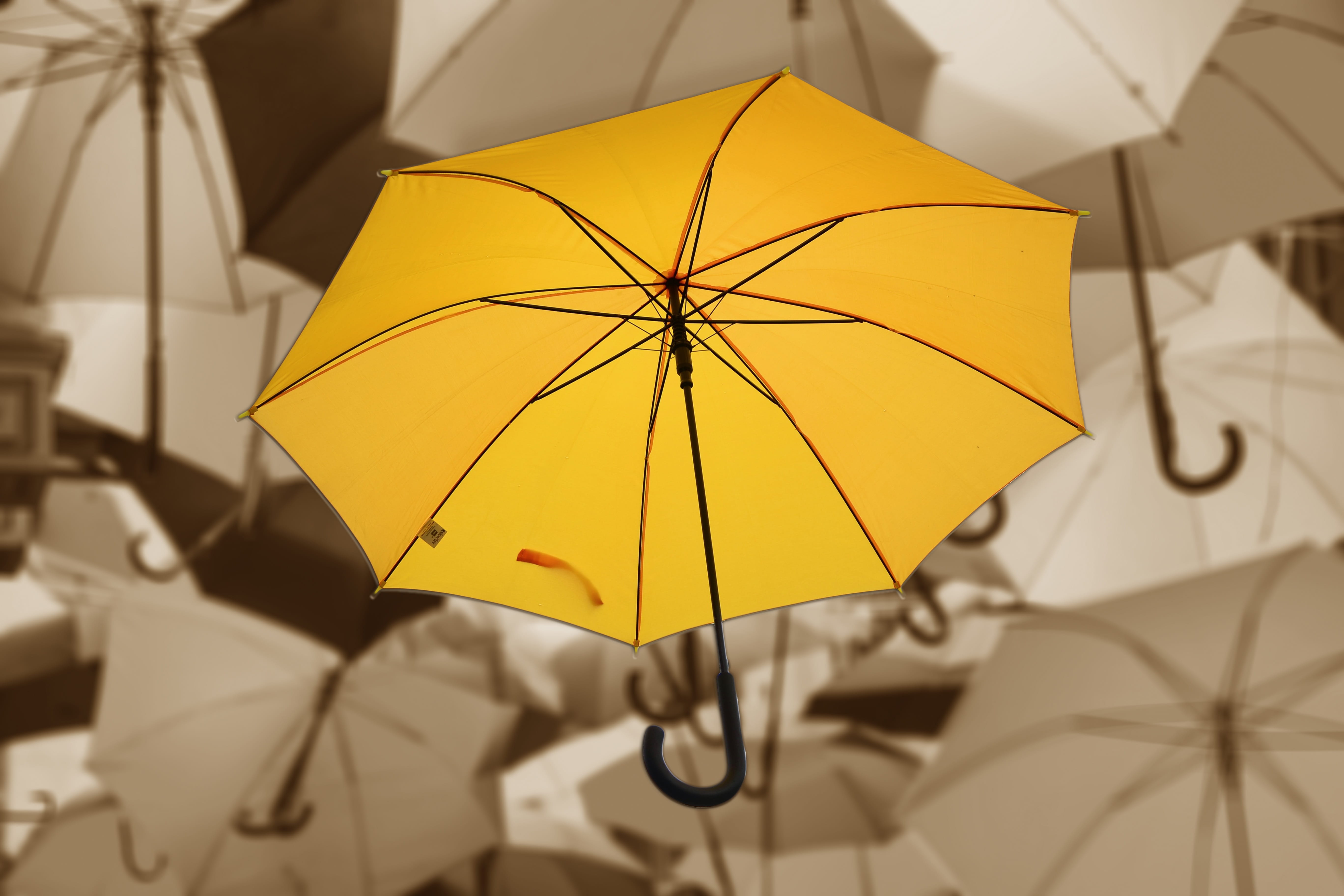 5K, screen, close-up, fly, ease, eddy, Color, lust for life, wet, Mood, many, safety, attitude to life, focus on foreground, nature, colorful, still life, HD Wallpaper