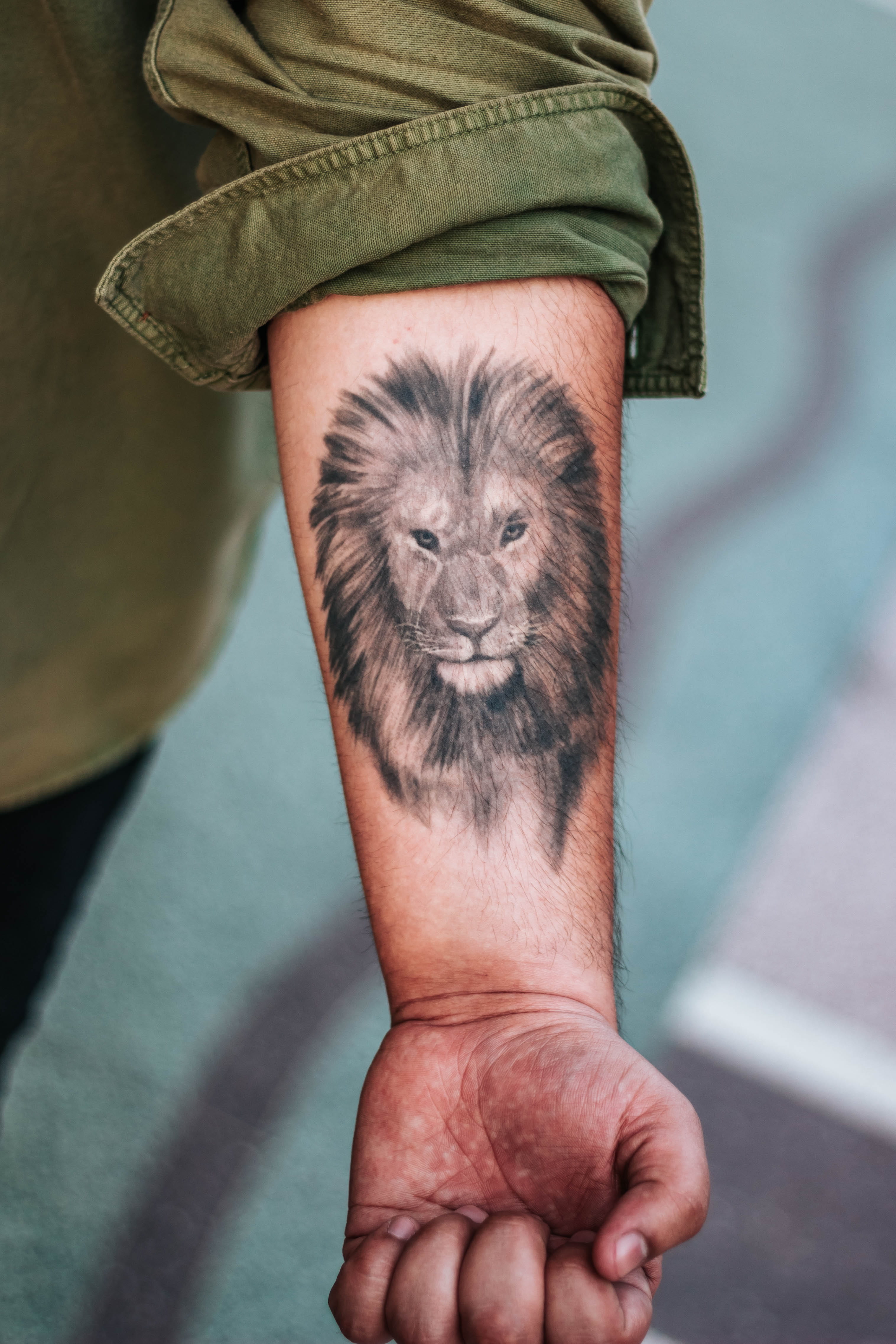 forearm, shallow, focus on foreground, pet owner, body part, tattoo, domestic animals, men, day, one animal, white, human body part, green, guy, lion, los angeles, Phone HD Wallpaper