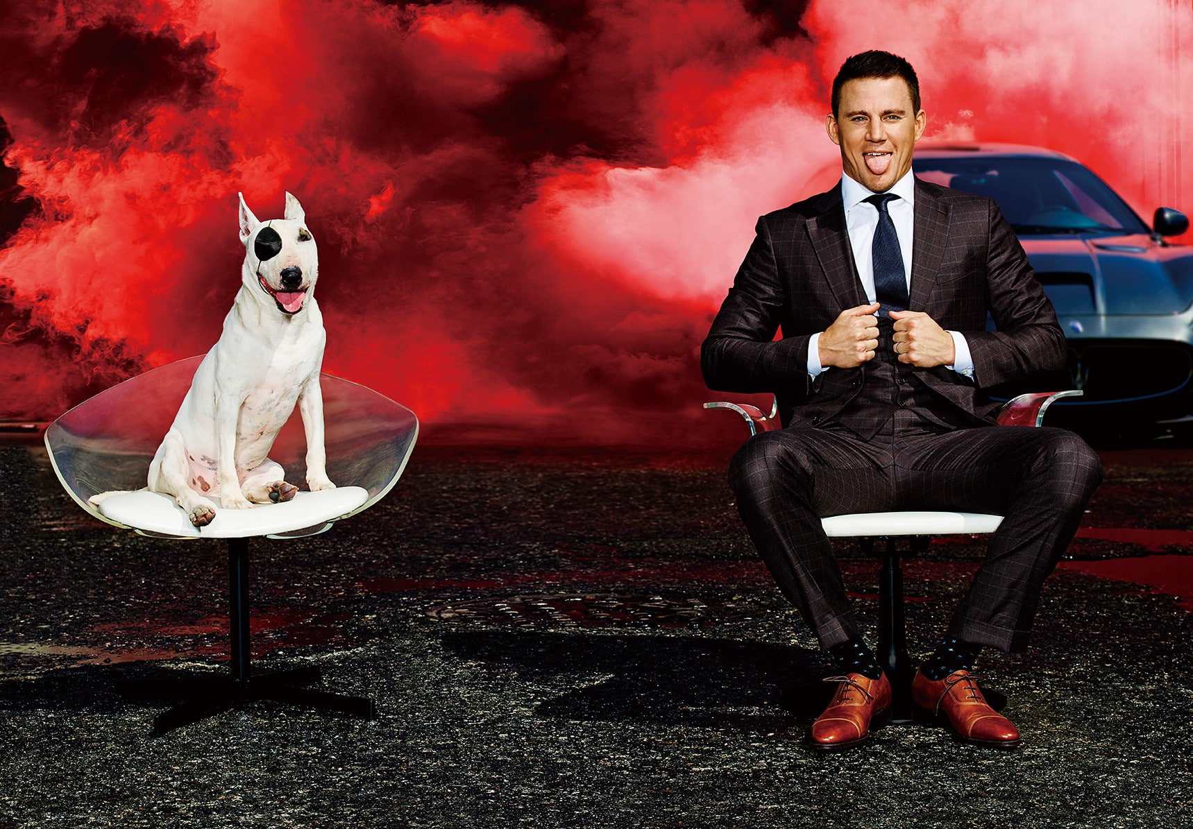 Maserati, dog, Channing Tatum, 720P, HD Wallpaper