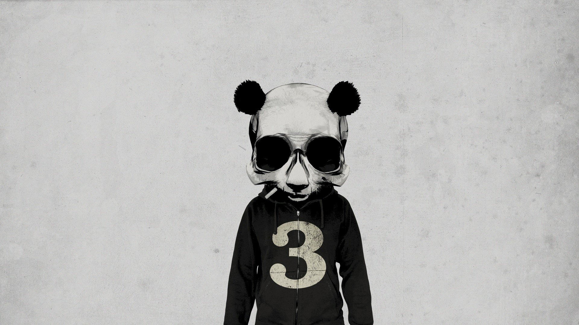 skull, 1080P, Hipster Photography, minimalism, HD Wallpaper