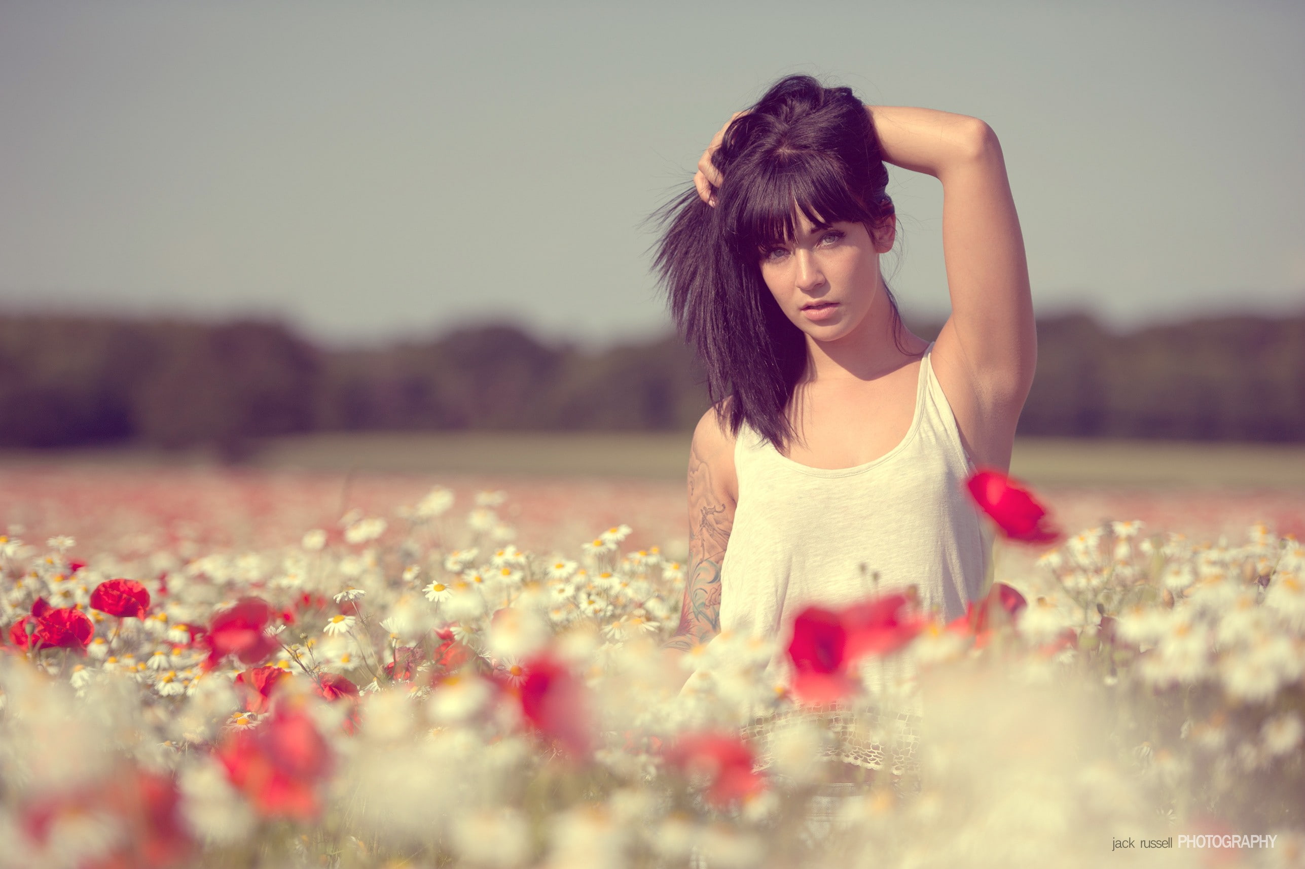 Jack Russell, flower, hands in hair, beauty, adult, nature, land, hairstyle, young adult, contemplation, tattoo, outdoors, field, human arm, beautiful woman, HD Wallpaper