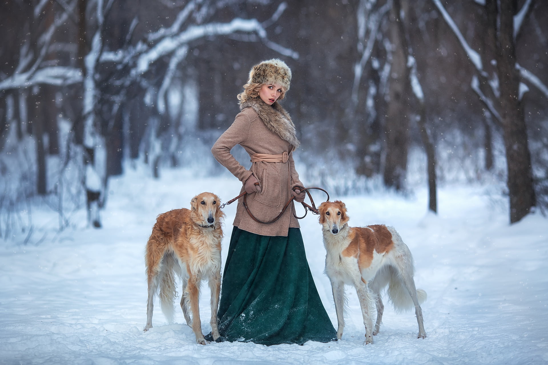 Anastasia Barmina, dogs, 1080P, pose, winter, snow, girl, Nastya, HD Wallpaper