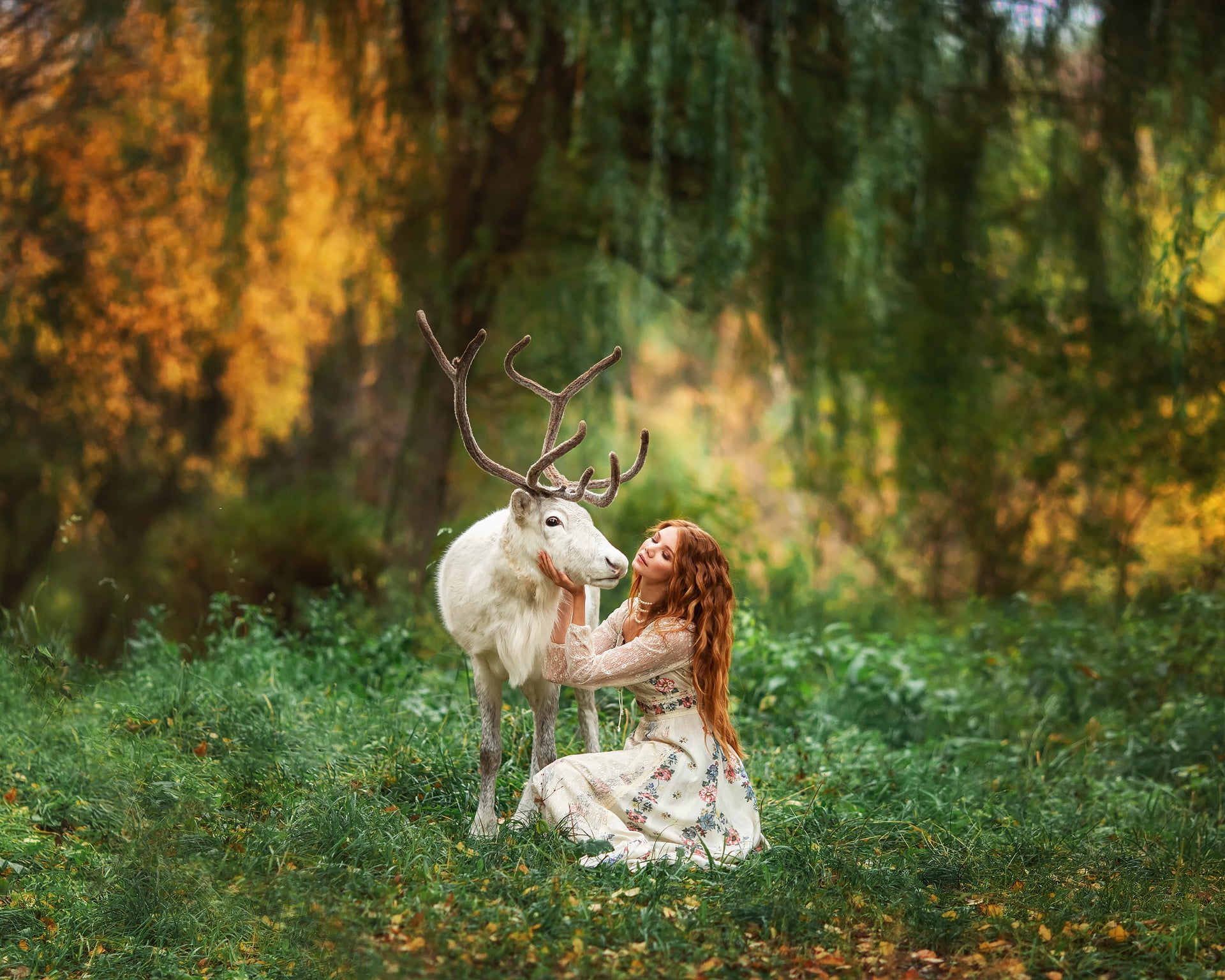 girl, forest, red, 1080P, nature, deer, Anastasia Barmina, animal, HD Wallpaper