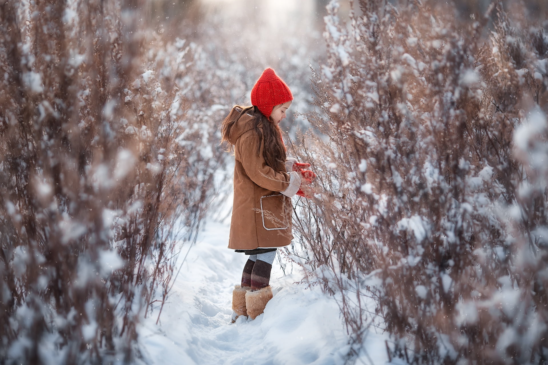 Anastasia Barmina, the bushes, snow, girl, 1080P, nature, winter, HD Wallpaper