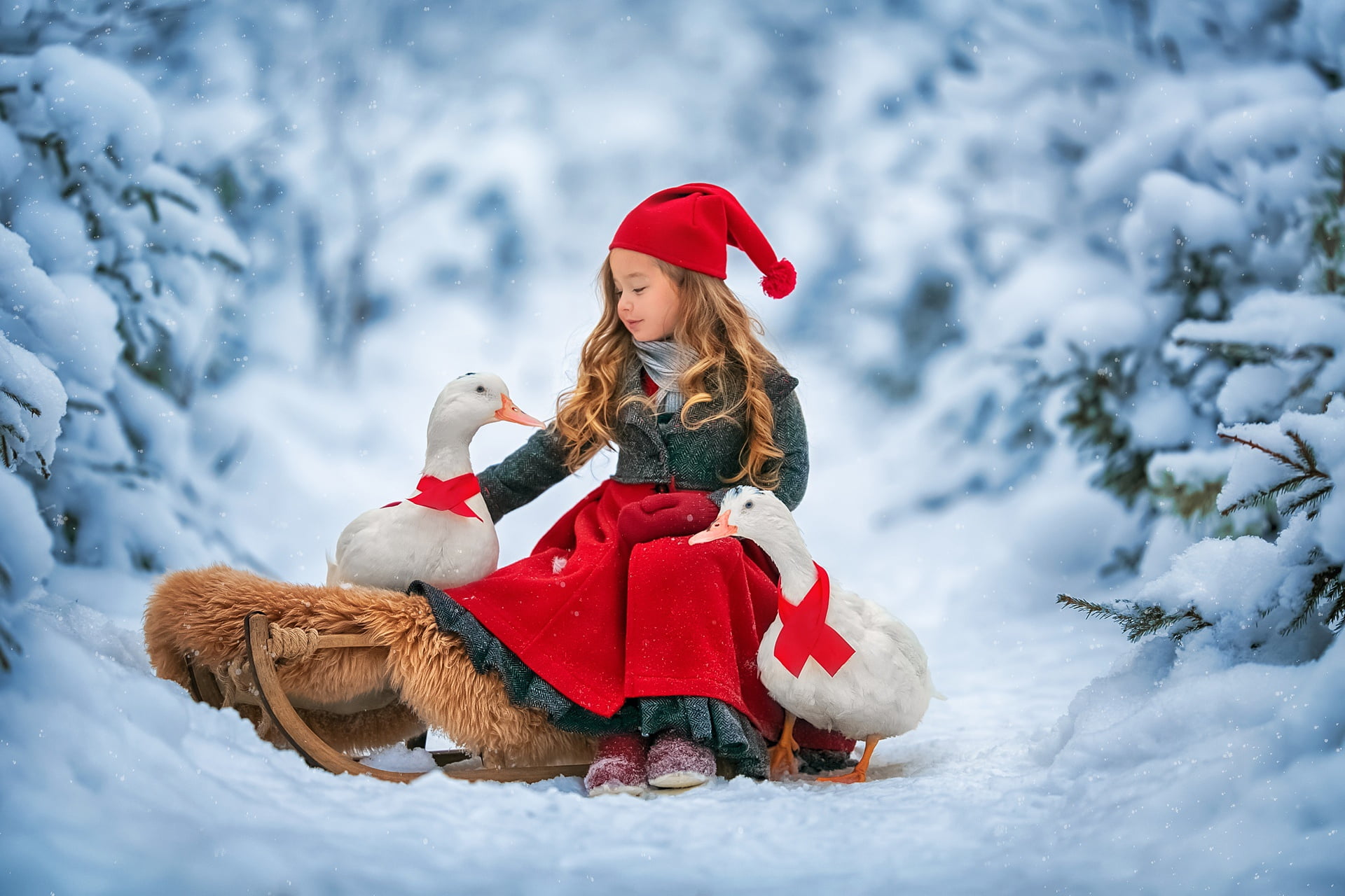 duck, snow, 1080P, sleigh, winter, Anastasia Barmina, girl, birds, forest, HD Wallpaper