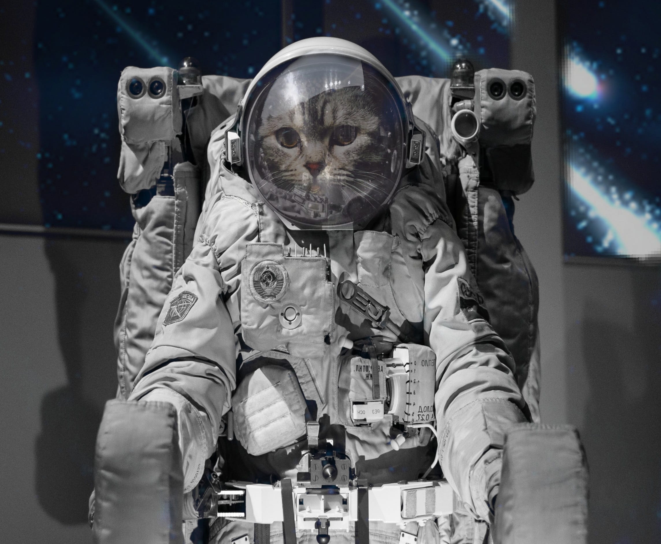 technology, real people, space, cat, a journey of discovery, healthcare and medicine, protection, uniform, space suit, mask, front view, protective workwear, HD Wallpaper