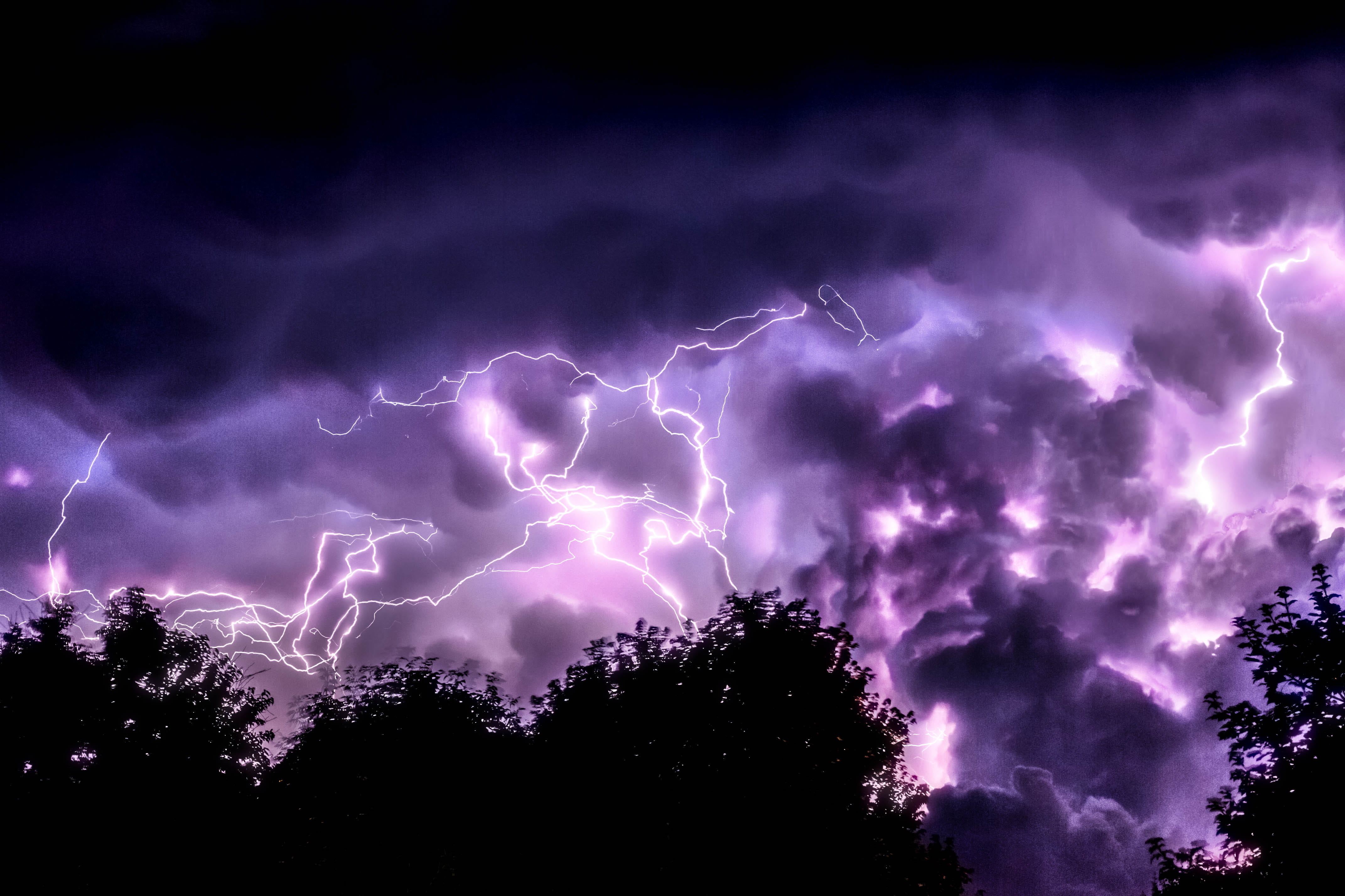low angle view, cloudscape, trees, outdoors, low, ominous, forked lightning, dramatic sky, tree, sky, blue, Purple, silhouette, thunder, power, backgrounds, HD Wallpaper