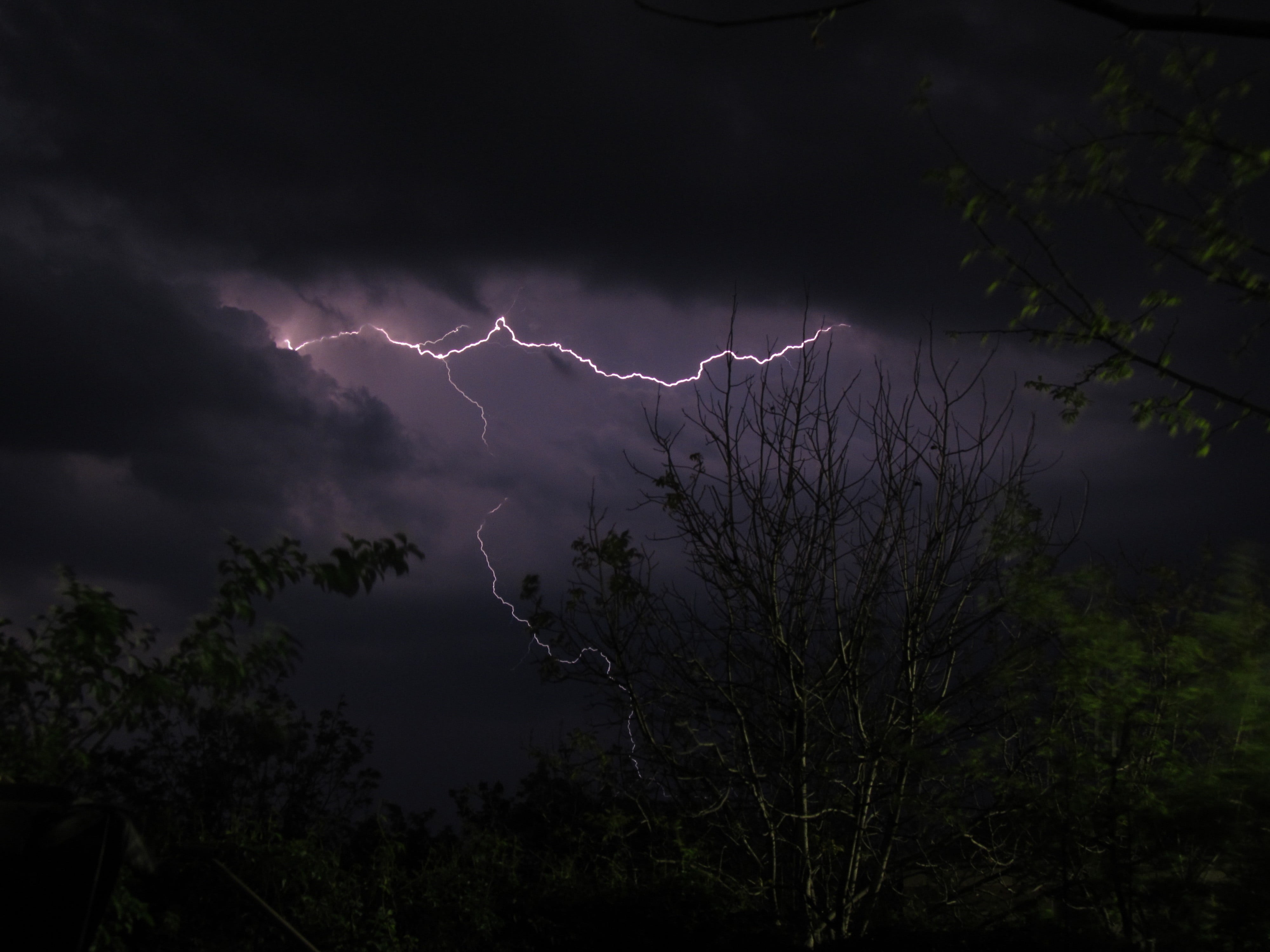 no people, warning sign, plant, nature, thunderstorm, power, storm cloud, sky, beauty in nature, outdoors, brown, night, storm, bare, silhouette, forked lightning, HD Wallpaper