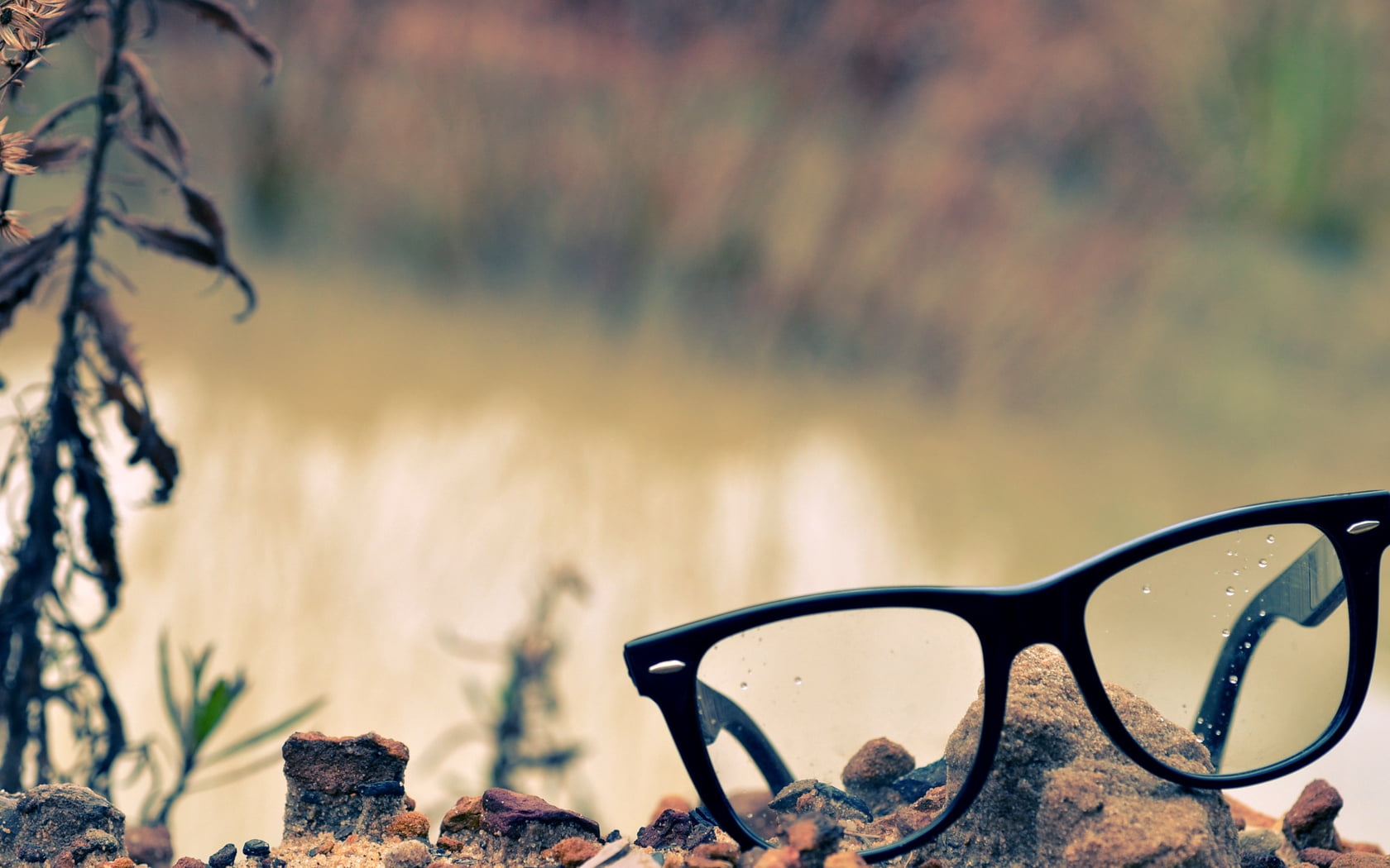 black Color, tree, water, rocks, grass, black, nature, sunlight, focus on foreground, outdoors, sunglasses, 720P, glasses, fashion, sunset, day, land, HD Wallpaper