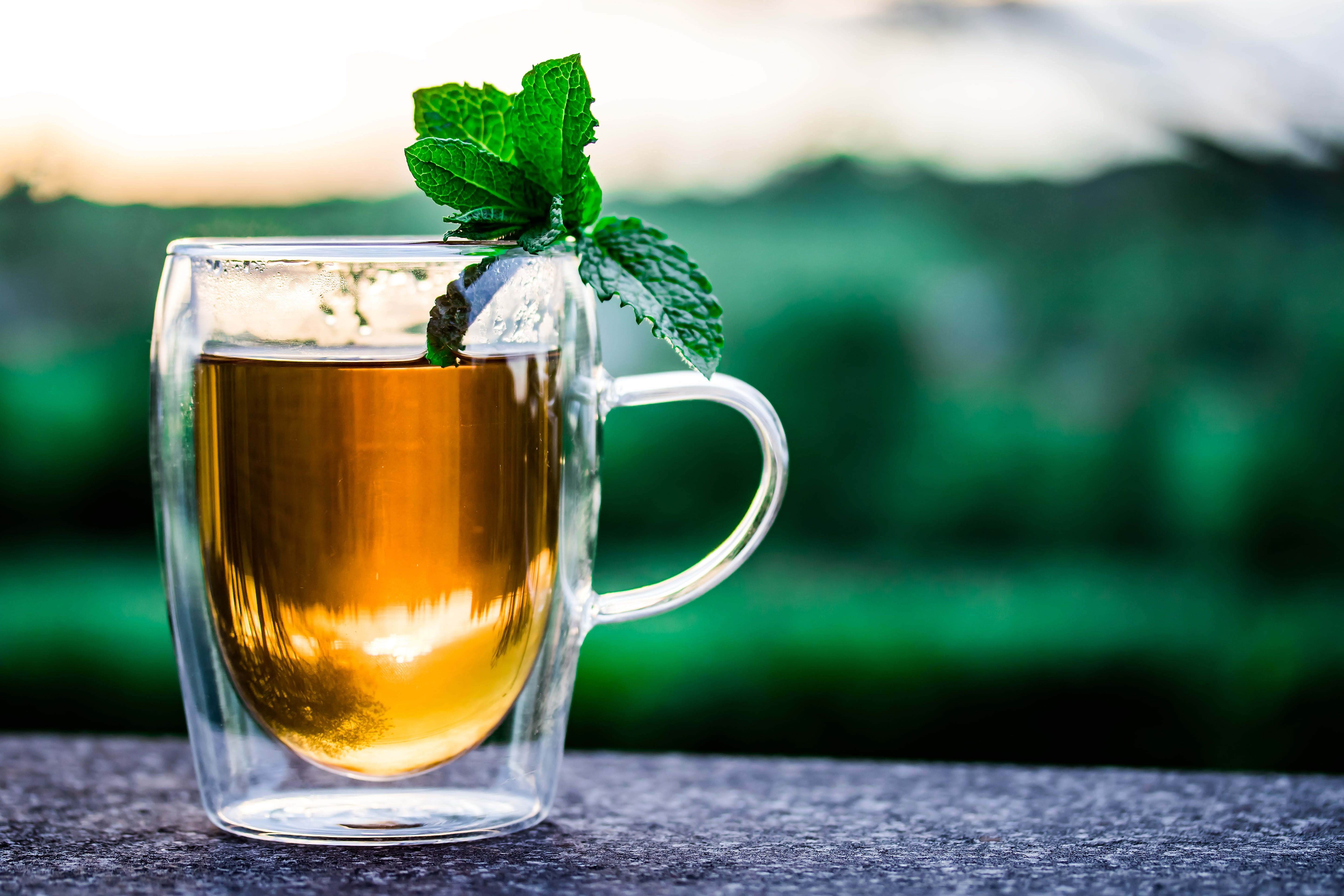 beneficial, beer, enjoy, freshness, teacup, plant part, silent, serenity, cup, hot, drinking glass, out, food and drink, mirroring, recovery, herb, outdoors, HD Wallpaper