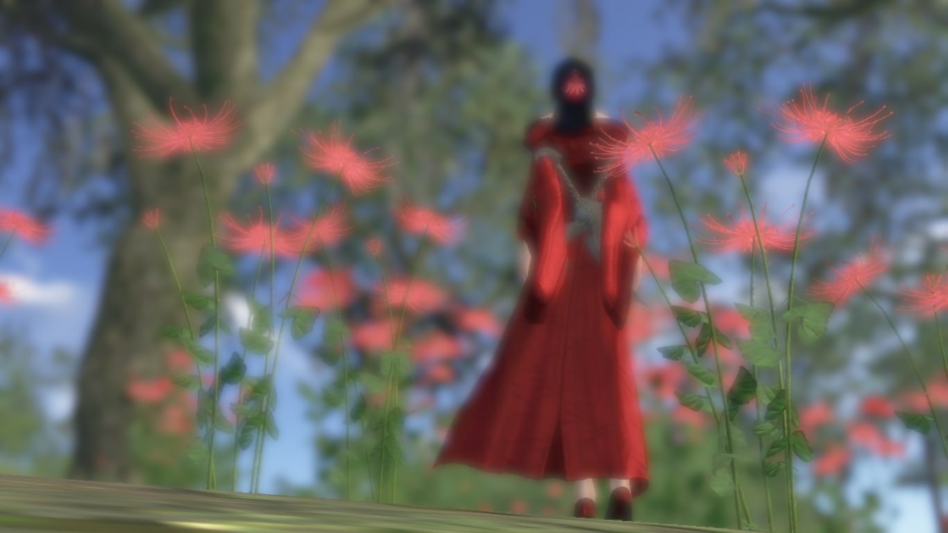 gamers, close-up, growth, freshness, plant, one person, nature, WuXia, selective focus, beauty in nature, flowering plant, China, flower, red, fragility, HD Wallpaper