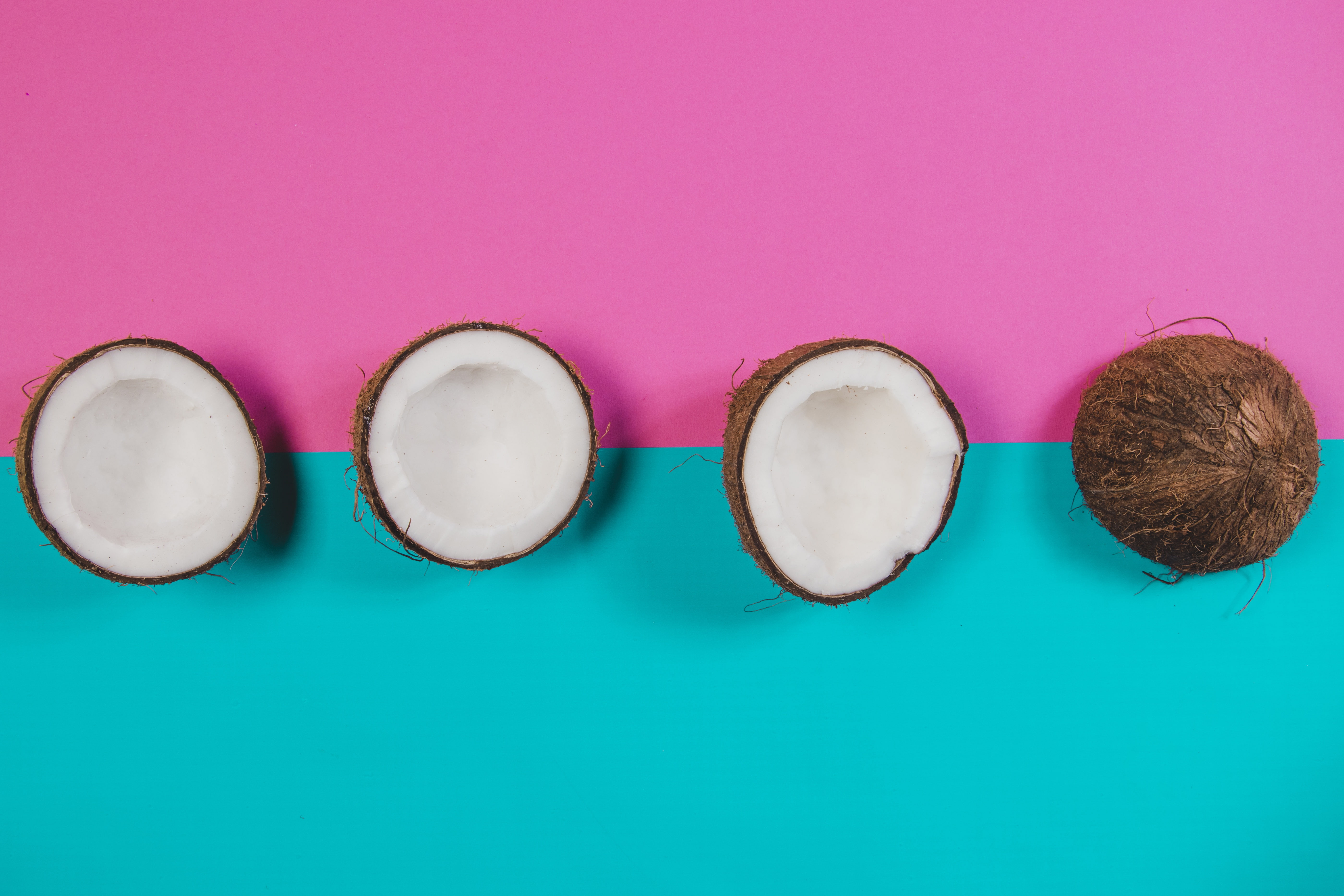shells, coconuts, pink, coconut, 5K, blue, background, HD Wallpaper