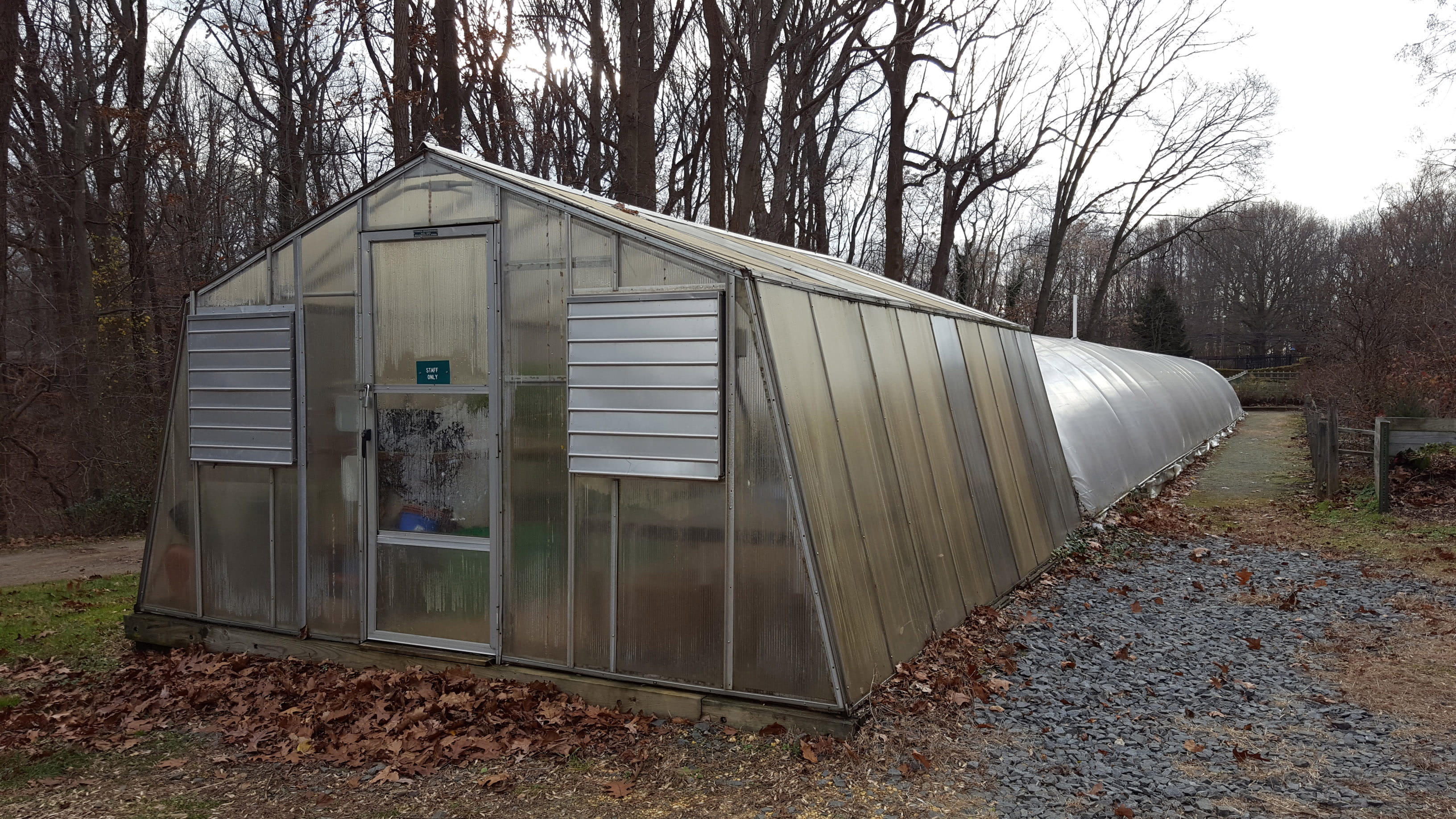 no people, nursery, new, cut, house, humidity, bare tree, jersey, building exterior, warmth, humid, botanical, outdoors, tree, glass, summer, loop greenhouse, HD Wallpaper