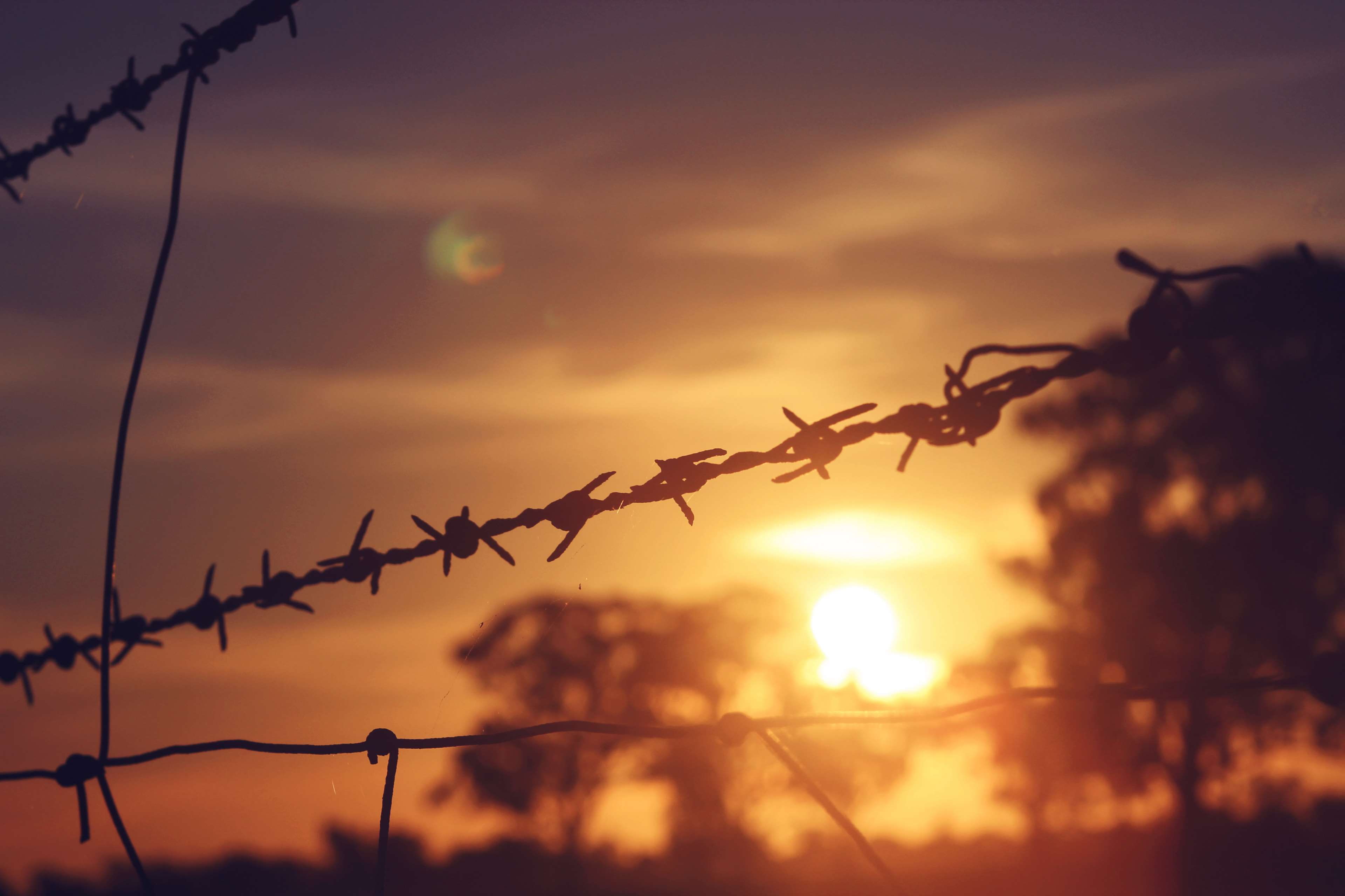 protection, silhouette, safety, barbed wire, boundary, no people, sunset, cloud - sky, focus on foreground, barrier, purple, sunlight, sharp, 4K, sky, HD Wallpaper