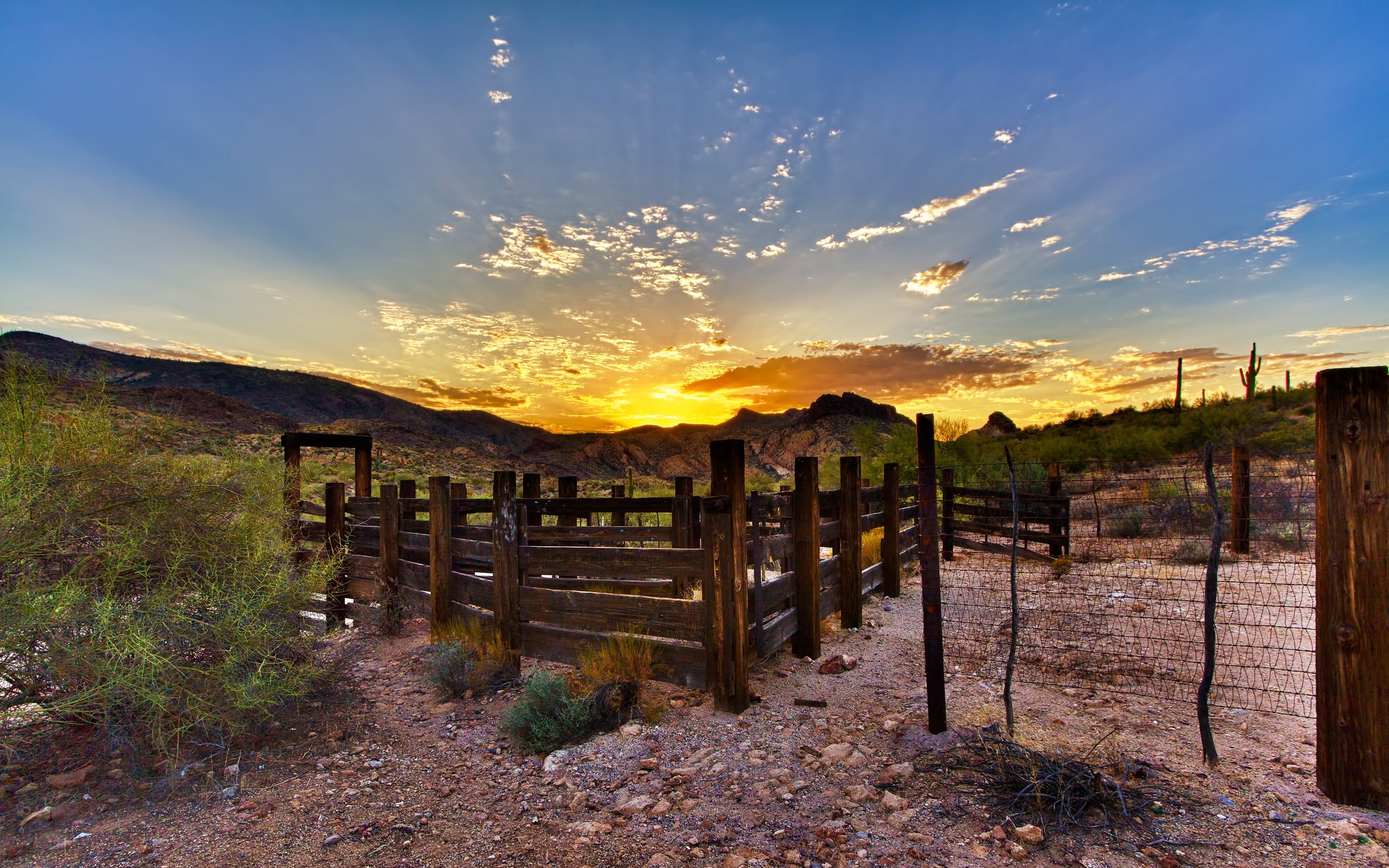 sunrise - Dawn, prickles, tranquil Scene, scenics - nature, cloud - Sky, brown, footpath, autumn, sun, shelter, sky, wooden post, security, boundary, scenics, HD Wallpaper