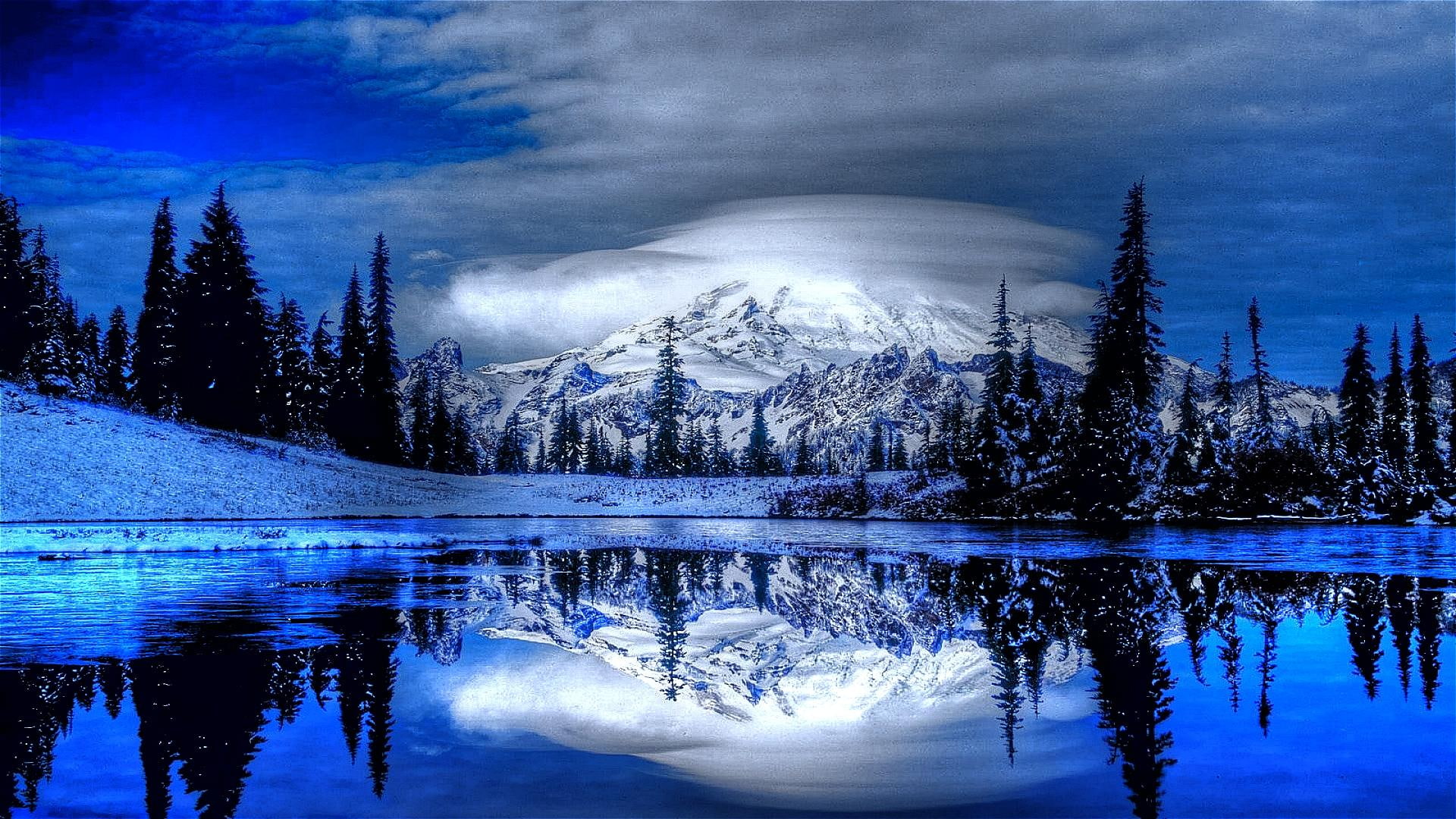 1080P, awash, 3d and abstract, trees, beauty, dusk, blue hour, darkened, winter, HD Wallpaper