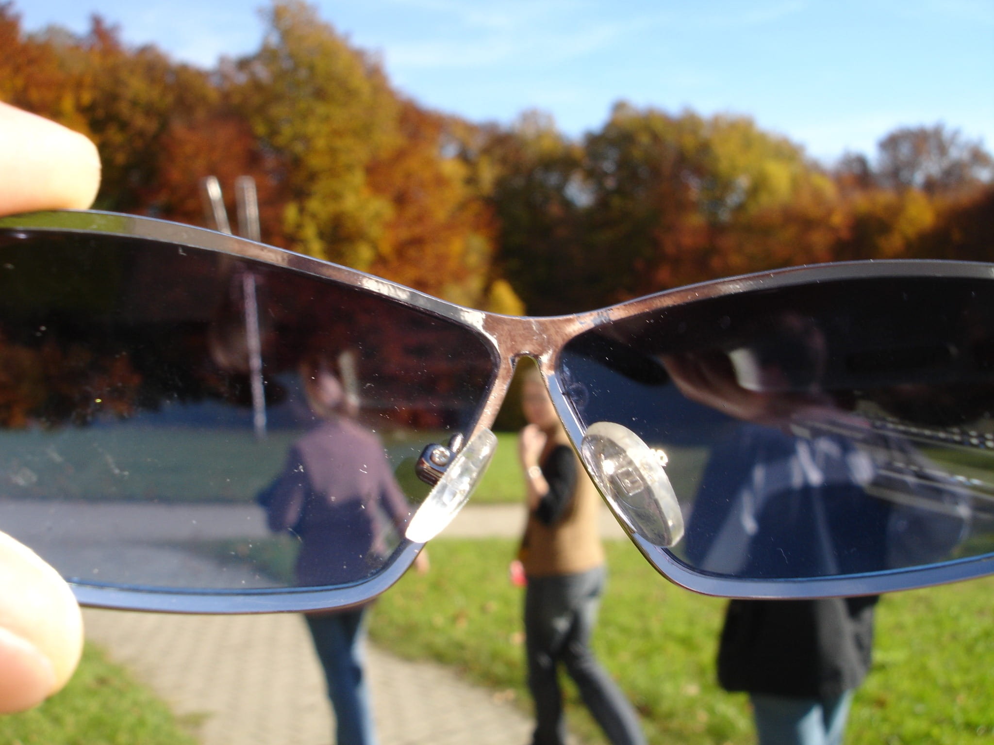 glasses, view, safety glasses, real people, eye protection, by looking, screwing up, leisure activity, positive emotion, 1080P, tree, nature, sunglasses, HD Wallpaper
