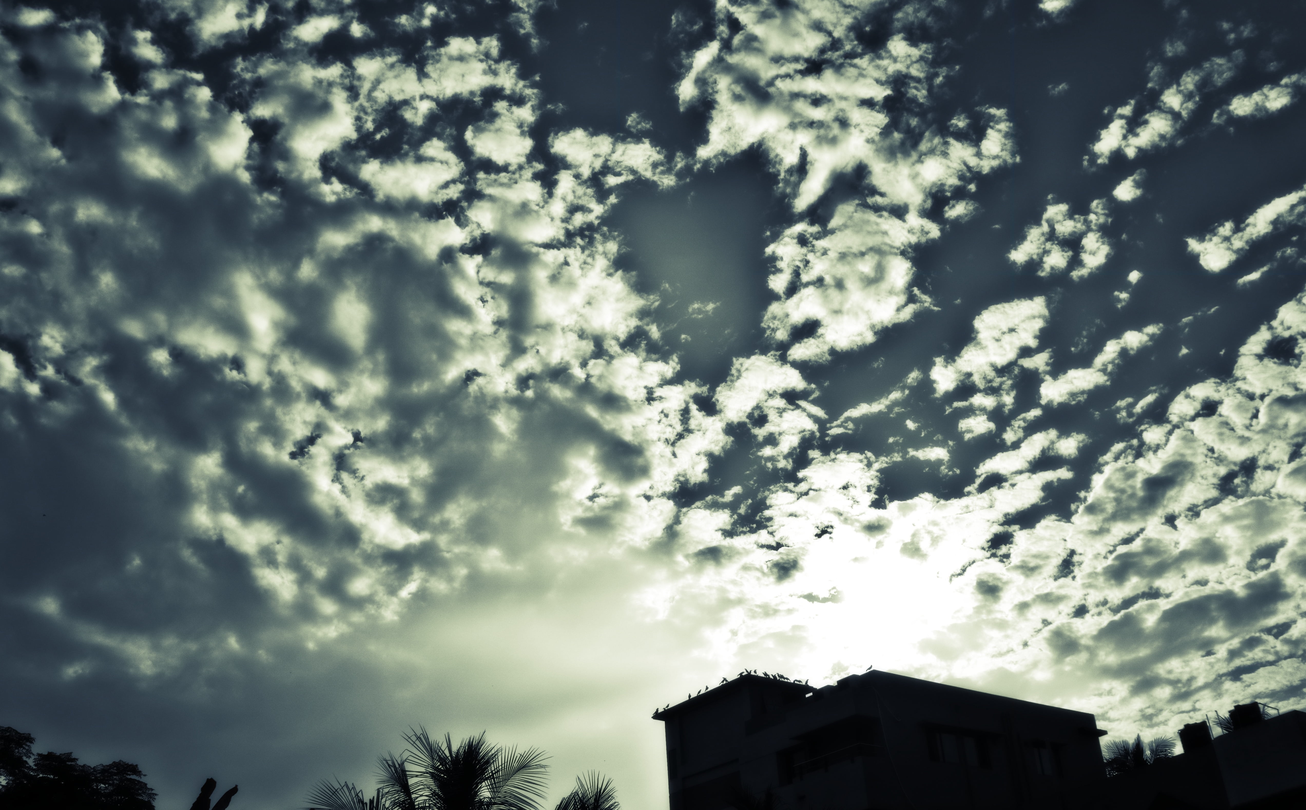 clouds, 4K, sky, nature, beauty in nature, bright, sunlight, cloudscape, darken clouds, architecture, low angle view, built structure, house, vibrant, HD Wallpaper