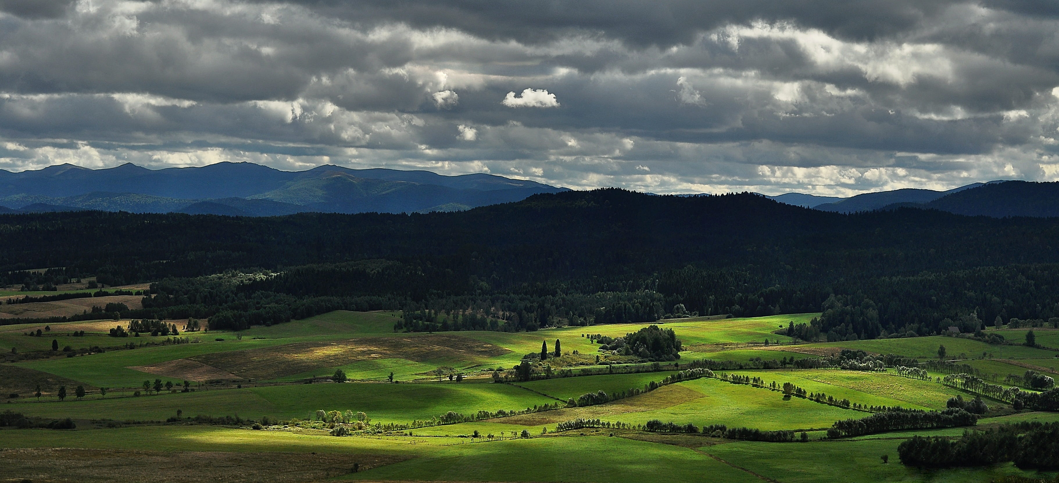 scenics - nature, słonne mountains, green color, rural scene, view, bieszczady, beauty in nature, sun spots, trail, plant, woodland, cloud - sky, holidays, HD Wallpaper