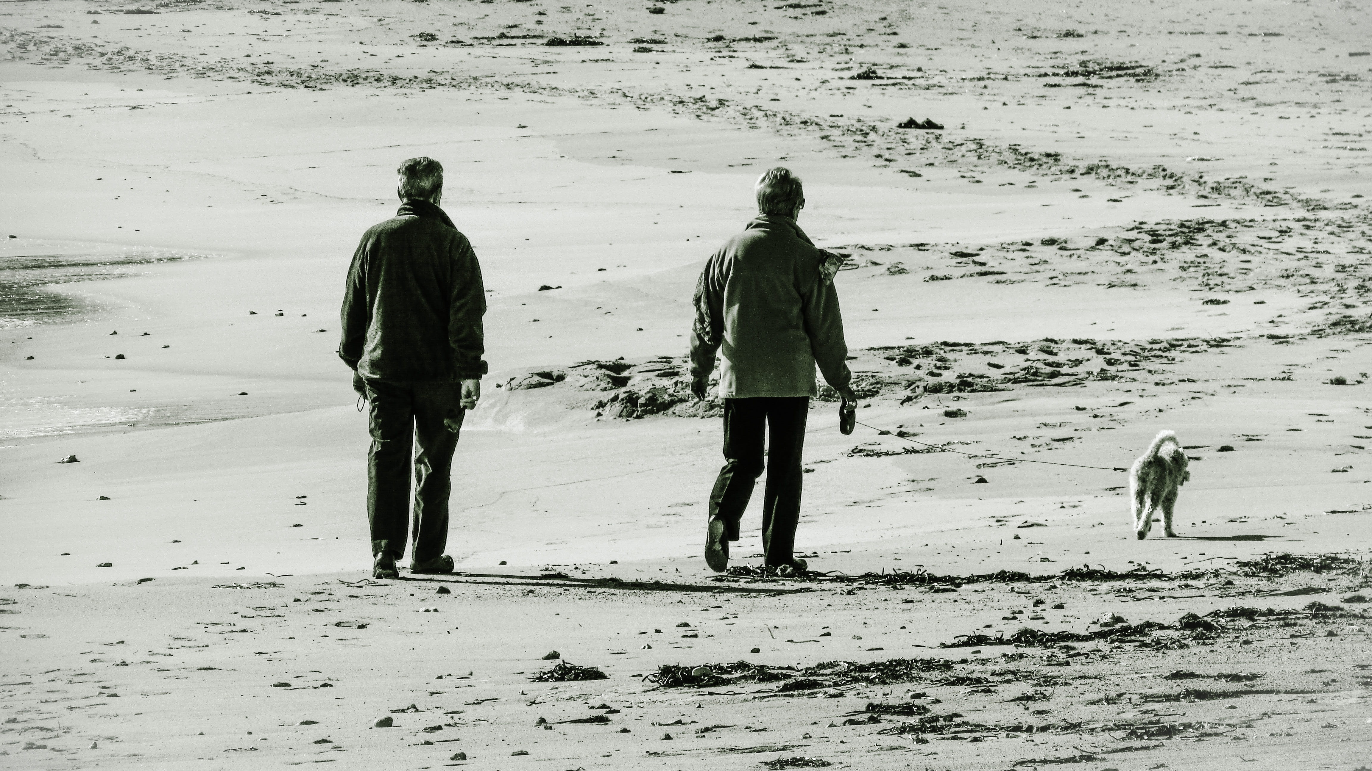 nature, beach, leisure, real people, two people, people, Couple, water, full length, rear view, old couple, Life, enjoying life, walking, Old, men, canine, HD Wallpaper