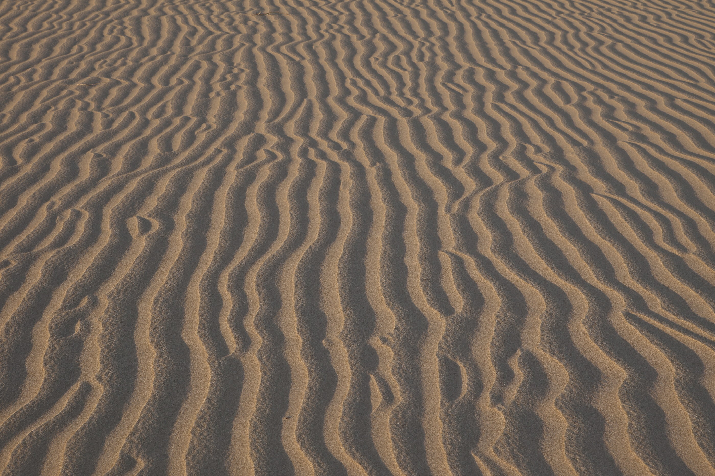 wilderness, beauty in nature, nature, desert, shadows, wet, day, brown, wave pattern, scenics - nature, no people, pattern, dry, symmetric, landscape, outdoors, HD Wallpaper