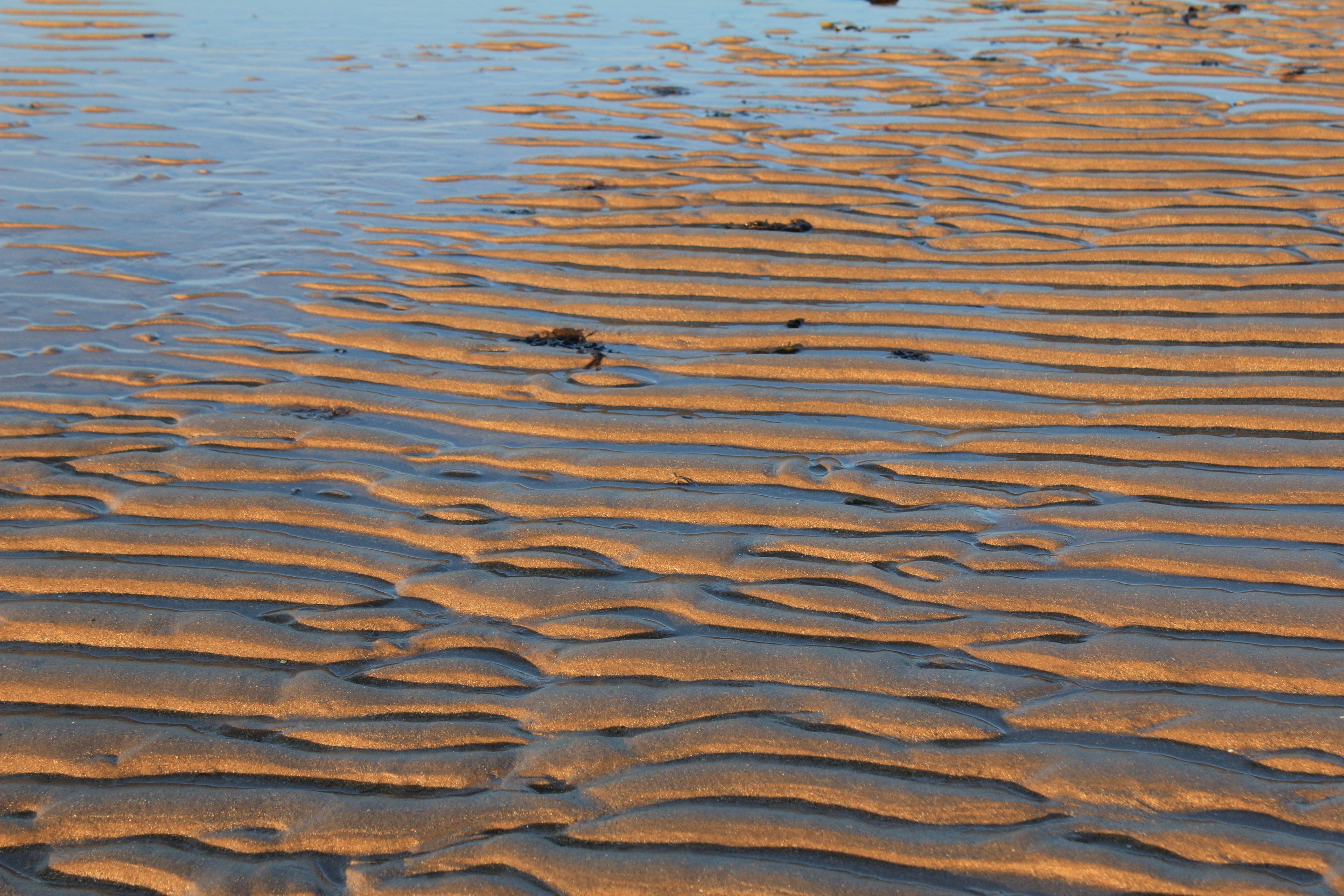 tidal, pattern, arid climate, water, outdoors, tranquility, seaside, coastline, Sand, Ripples, seashore, shore, texture, backgrounds, high angle view, 5K, HD Wallpaper