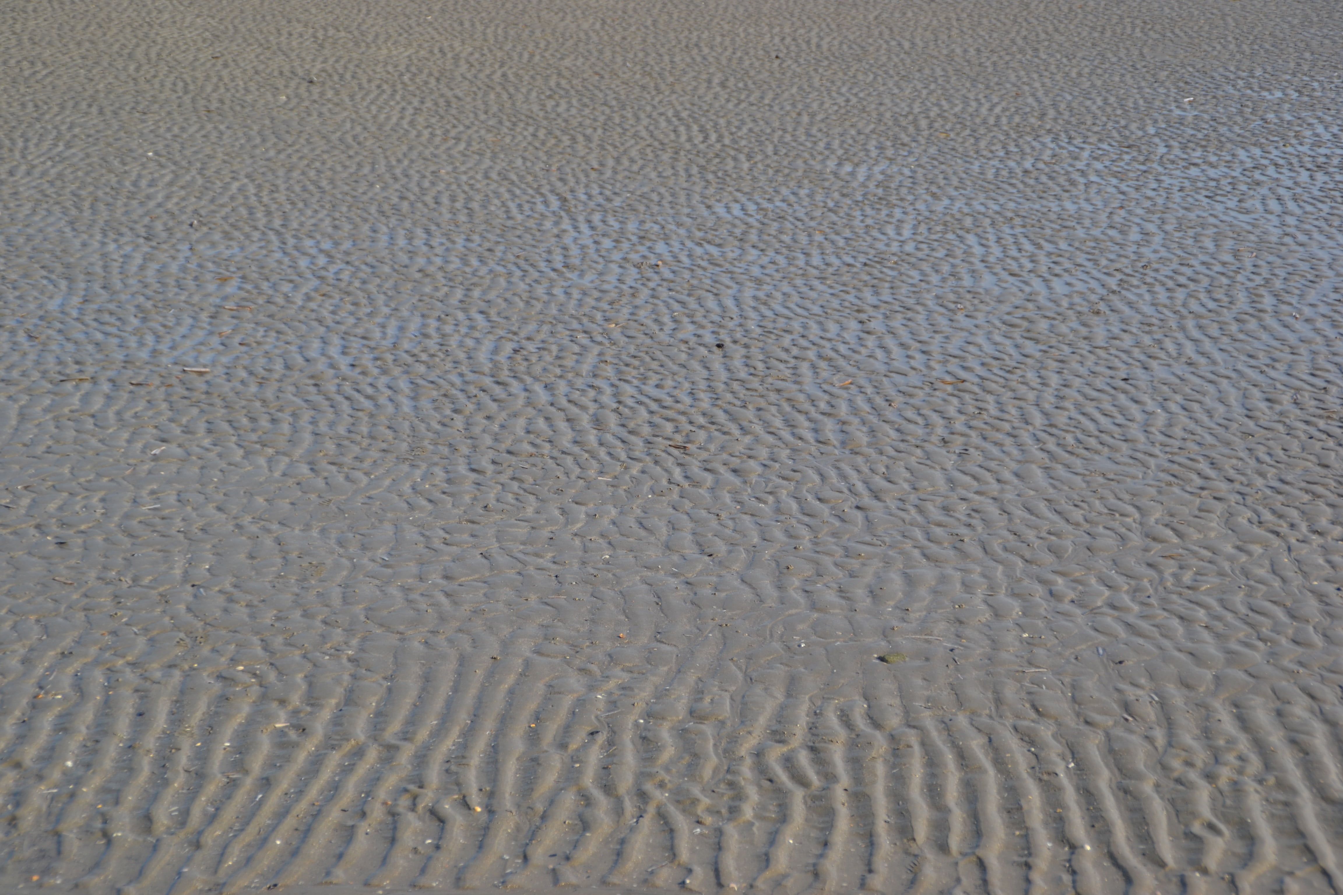 soil, outdoors, sand, climate, wave pattern, textured, sea, pattern, arid climate, water, day, ripple, scenics - nature, natural pattern, land, full frame, HD Wallpaper