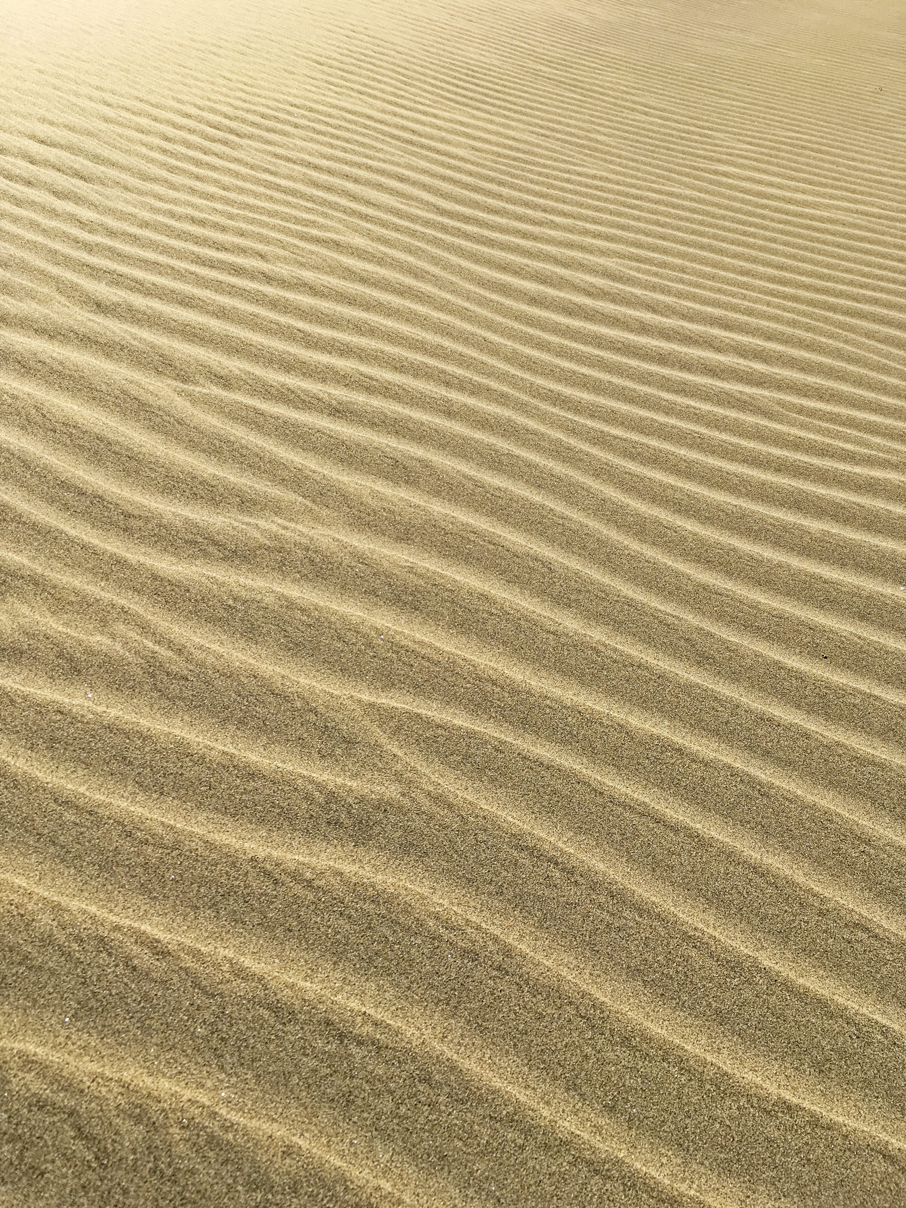 sunlight, desert, pattern, scenics - nature, no people, wave pattern, natural pattern, sand pattern, low tide, beach, tranquility, landscape, nature, climate, Phone HD Wallpaper