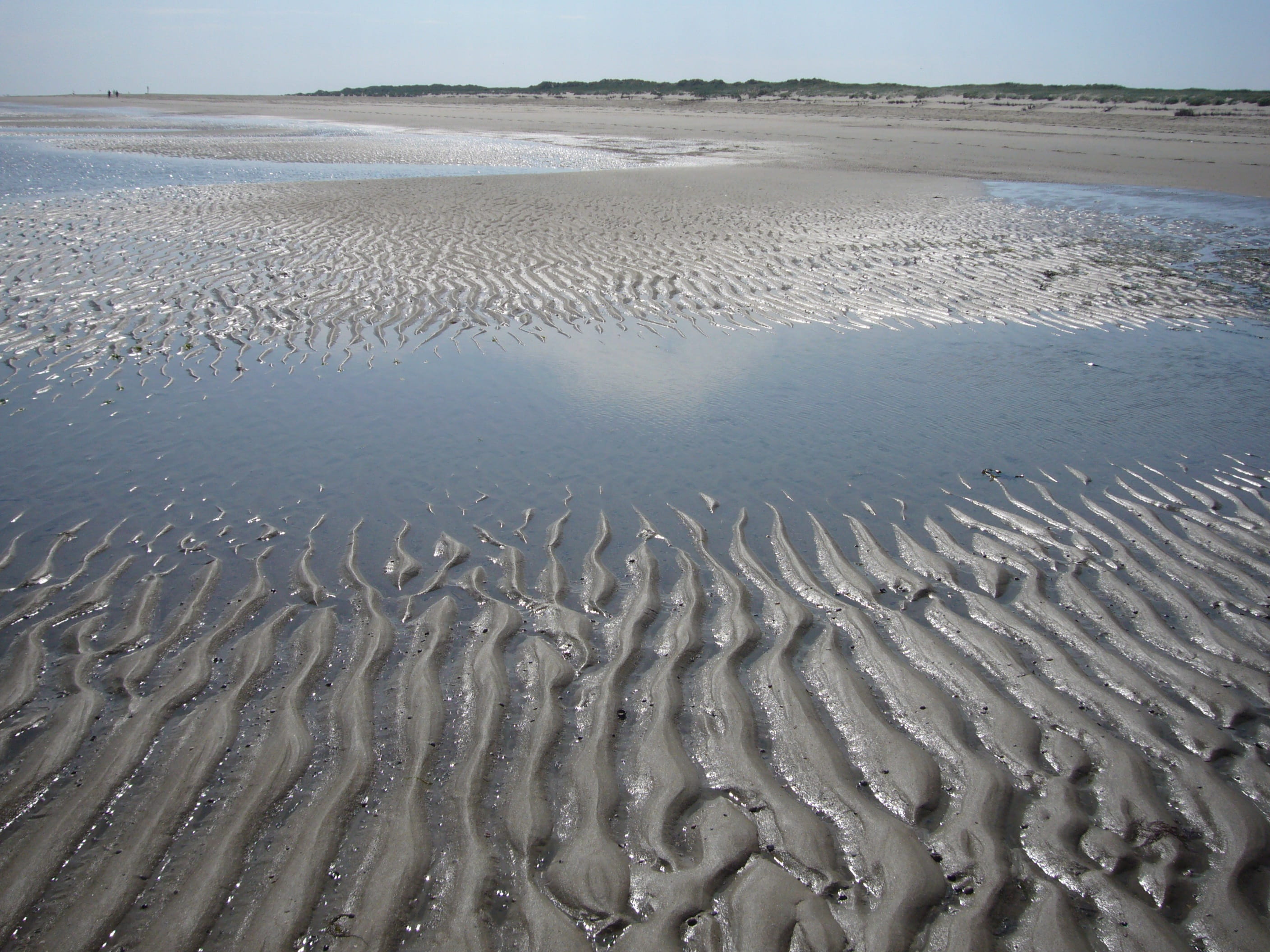 nature, beauty in nature, scenics - nature, tranquil scene, sea, natural pattern, wave pattern, beach, sandrippel, low tide, wet, tranquility, sand, ocean floor, HD Wallpaper